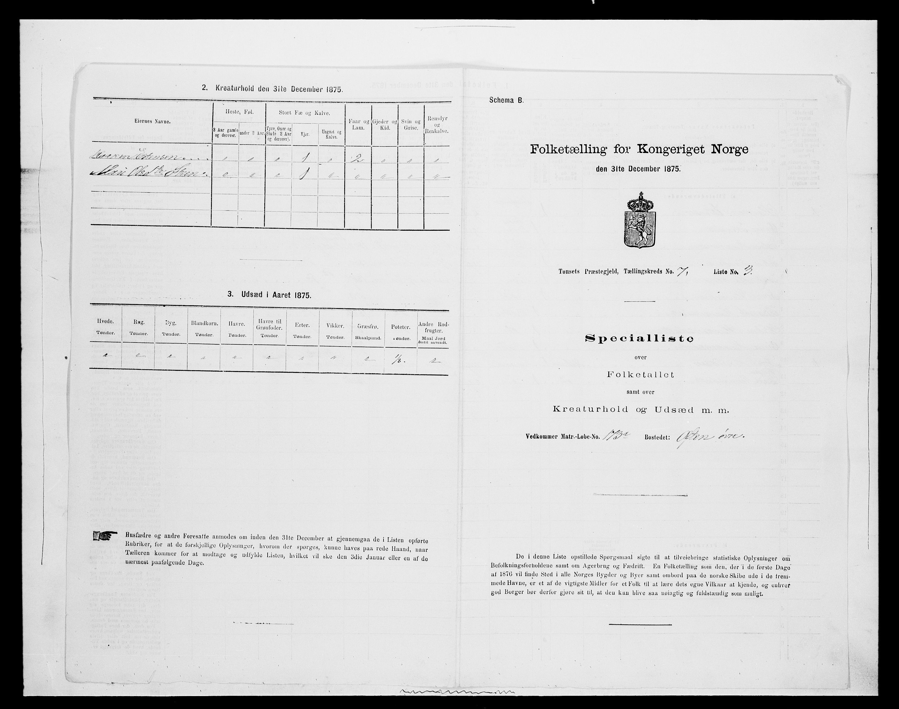 SAH, 1875 census for 0437P Tynset, 1875, p. 729