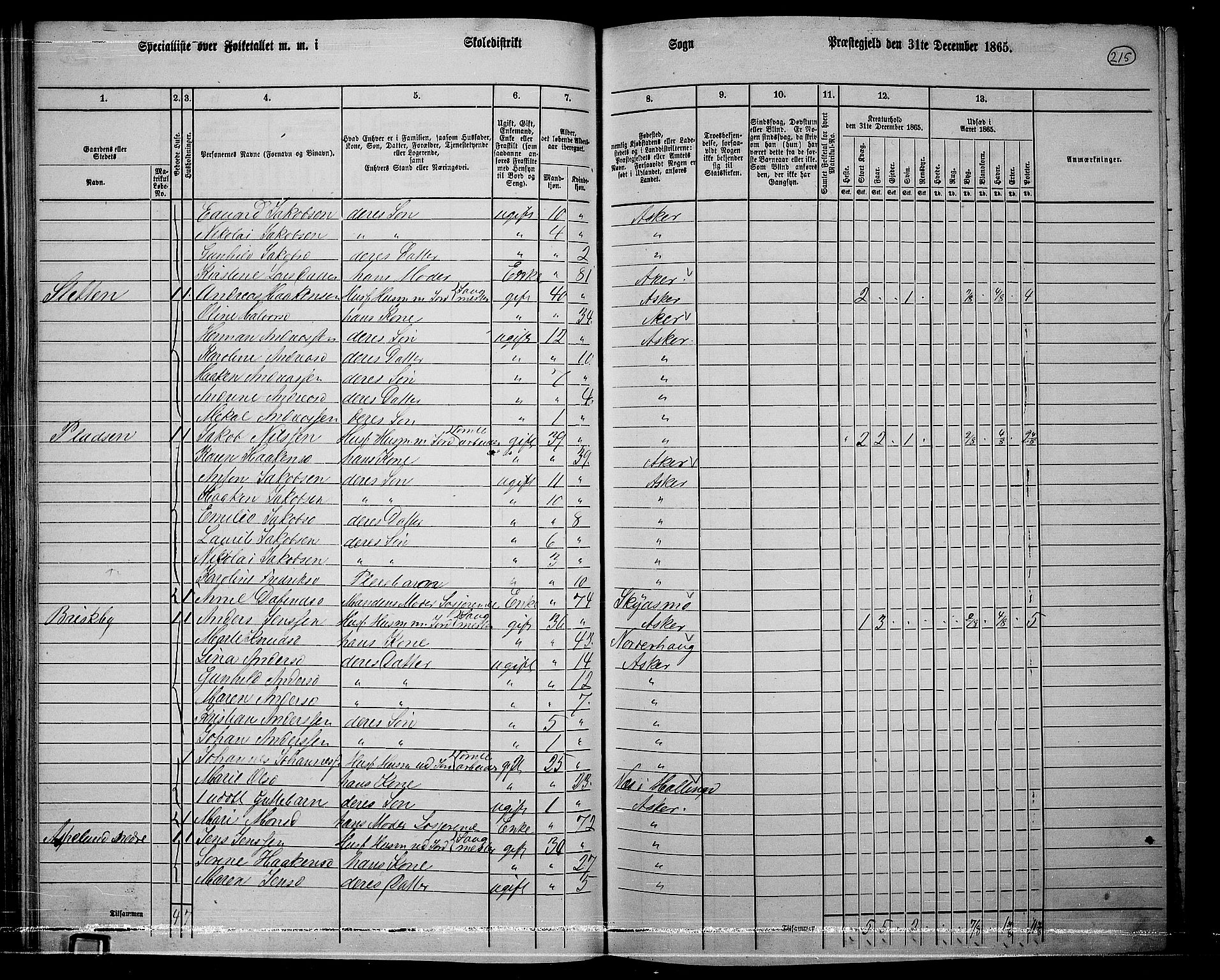 RA, 1865 census for Asker, 1865, p. 207