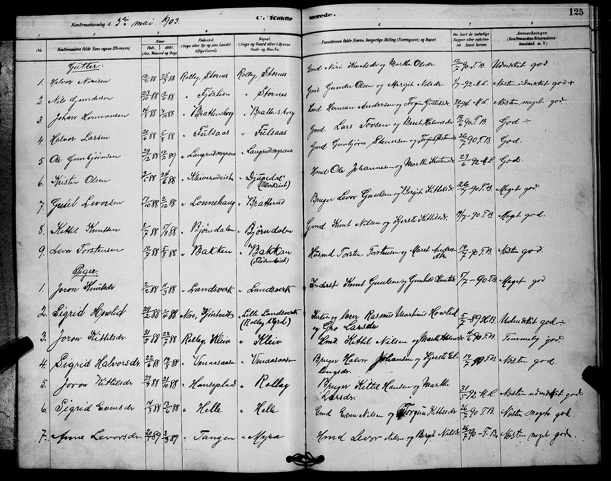 Rollag kirkebøker, SAKO/A-240/G/Ga/L0004: Parish register (copy) no. I 4, 1878-1903, p. 125