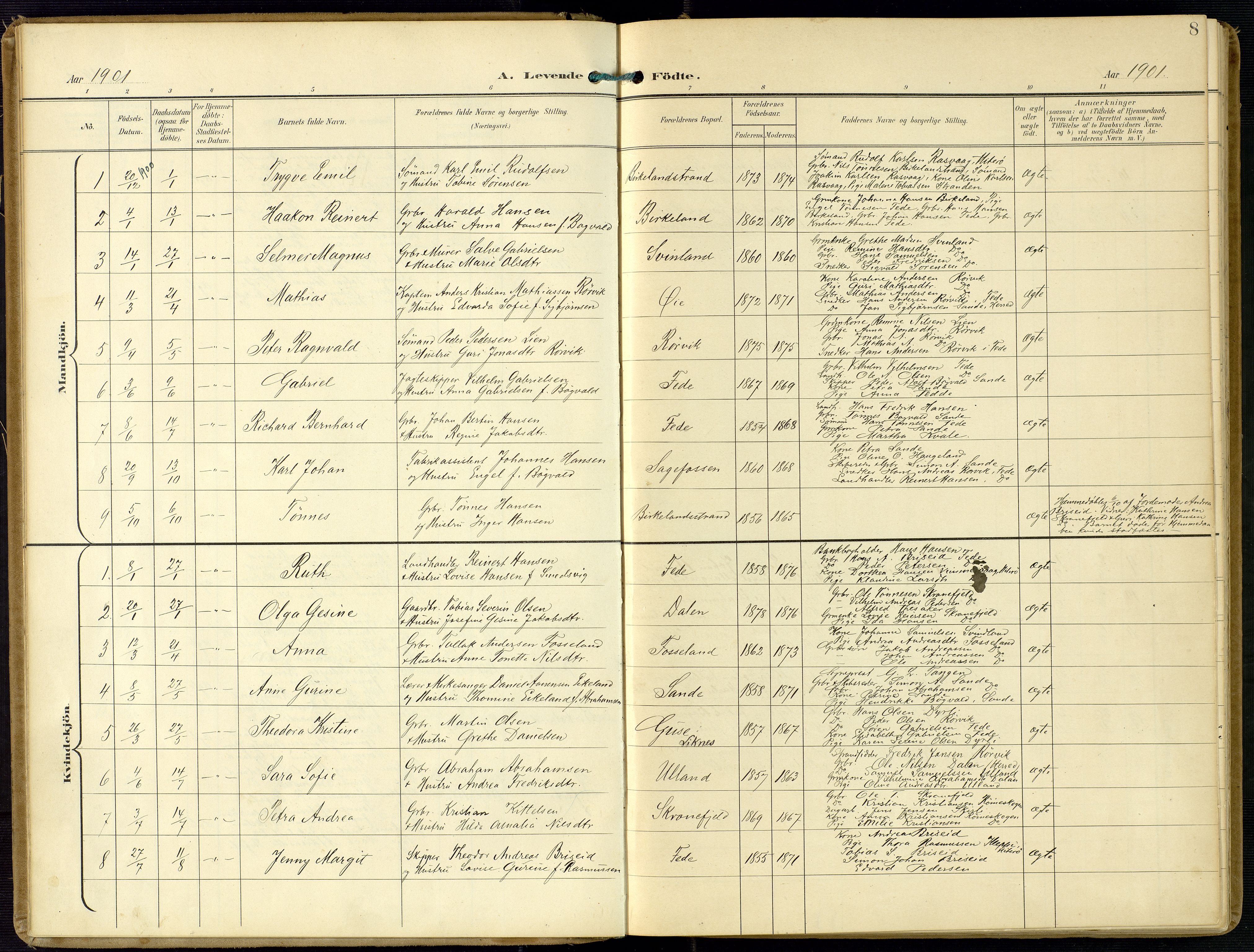 Kvinesdal sokneprestkontor, SAK/1111-0026/F/Fa/Faa/L0005: Parish register (official) no. A 5, 1898-1915, p. 8