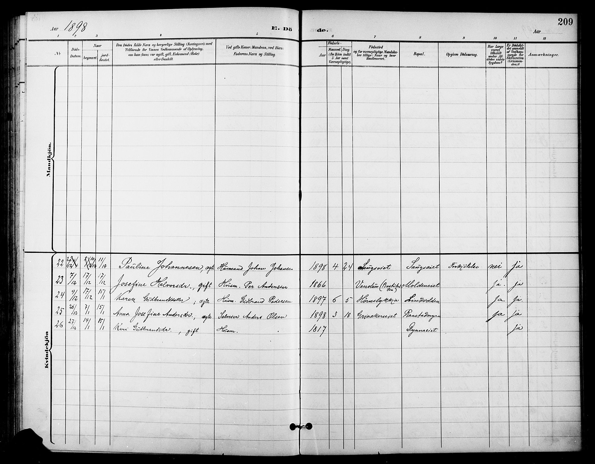 Gran prestekontor, SAH/PREST-112/H/Ha/Haa/L0019: Parish register (official) no. 19, 1898-1907, p. 209