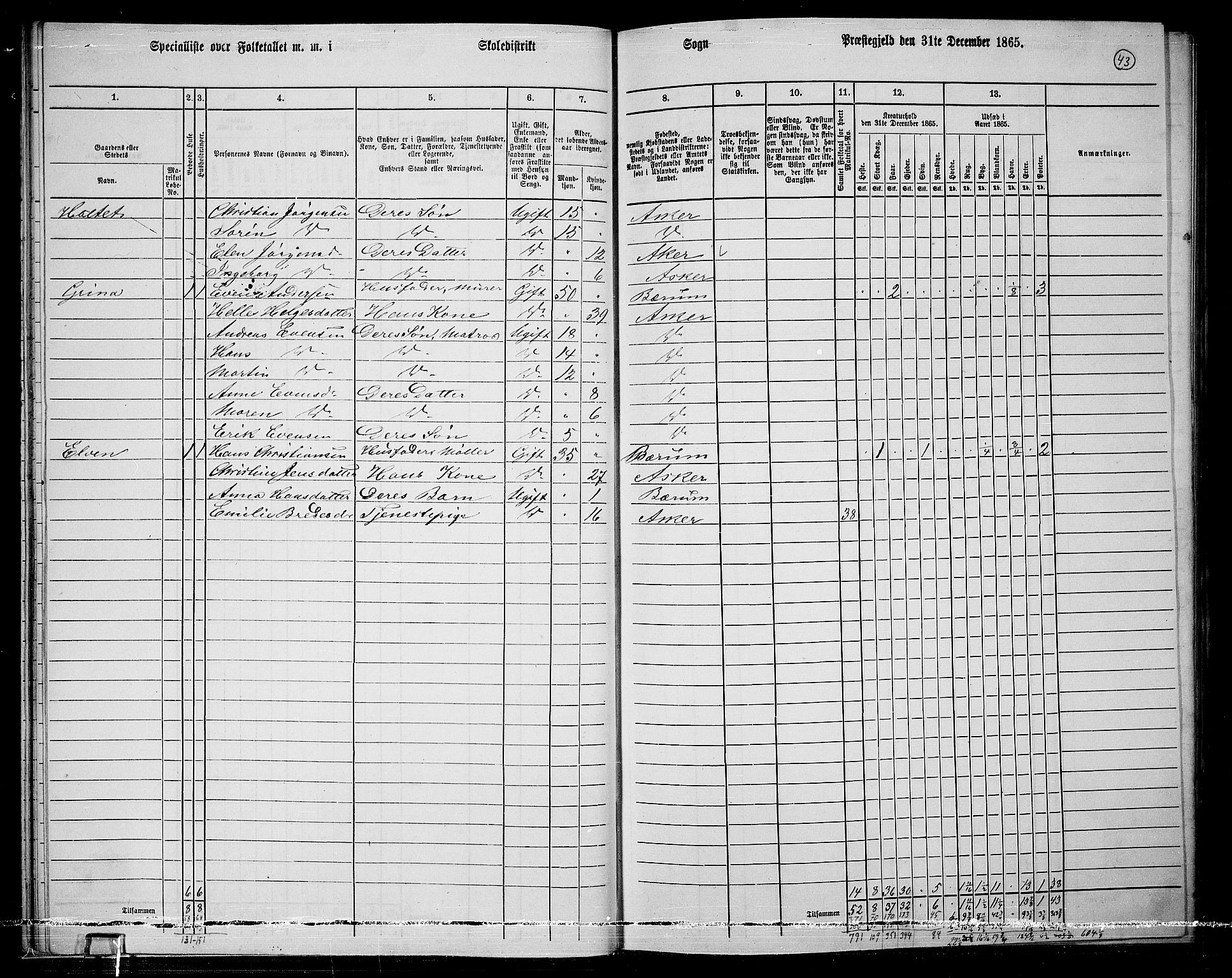 RA, 1865 census for Asker, 1865, p. 45