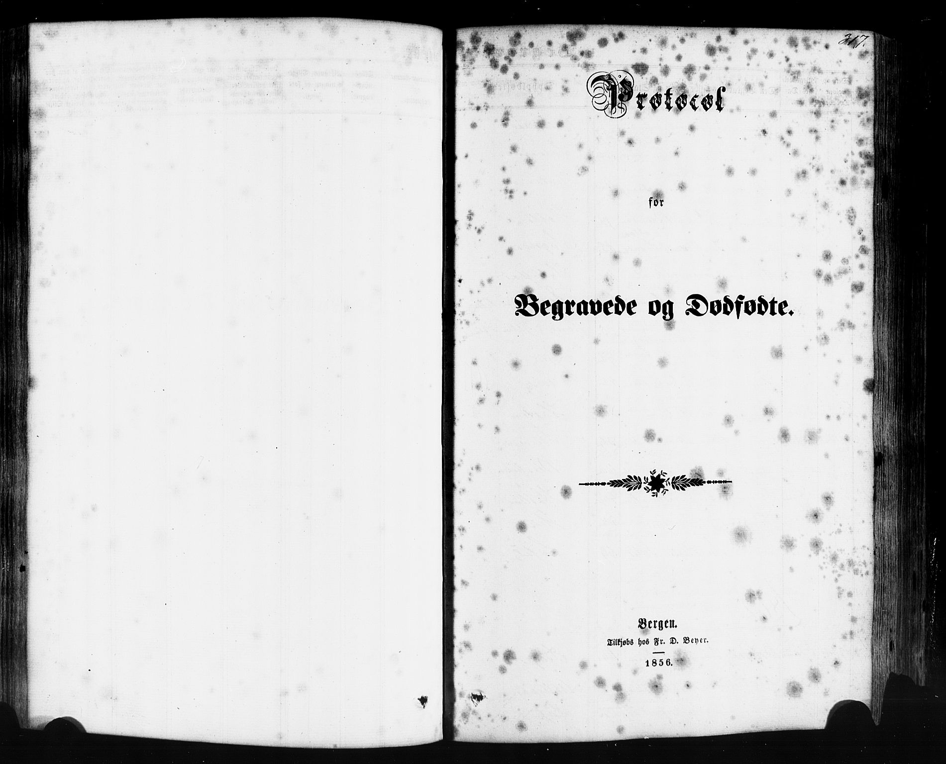 Hyllestad sokneprestembete, SAB/A-80401: Parish register (official) no. A 1, 1861-1886, p. 317