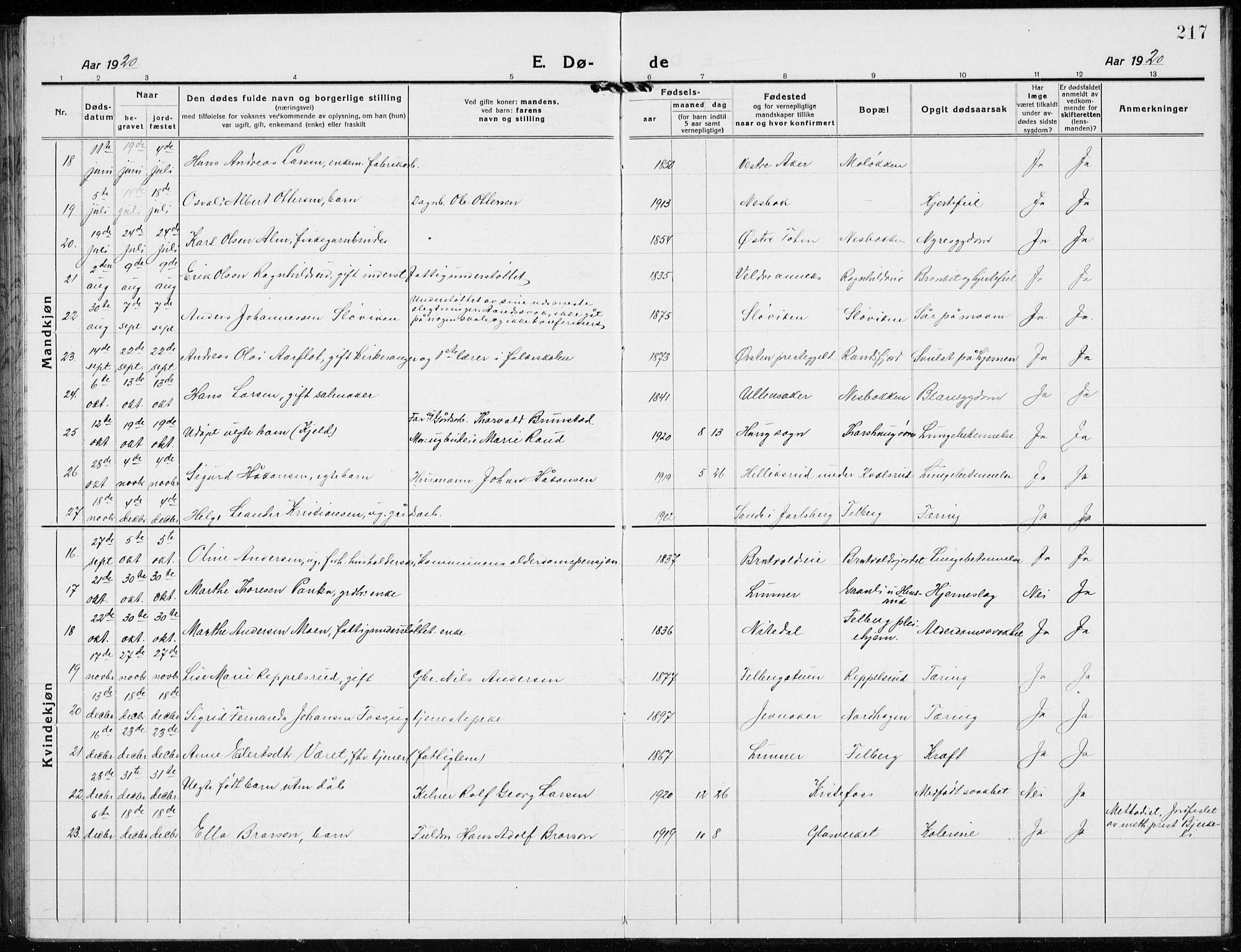 Jevnaker prestekontor, AV/SAH-PREST-116/H/Ha/Hab/L0005: Parish register (copy) no. 5, 1919-1934, p. 217