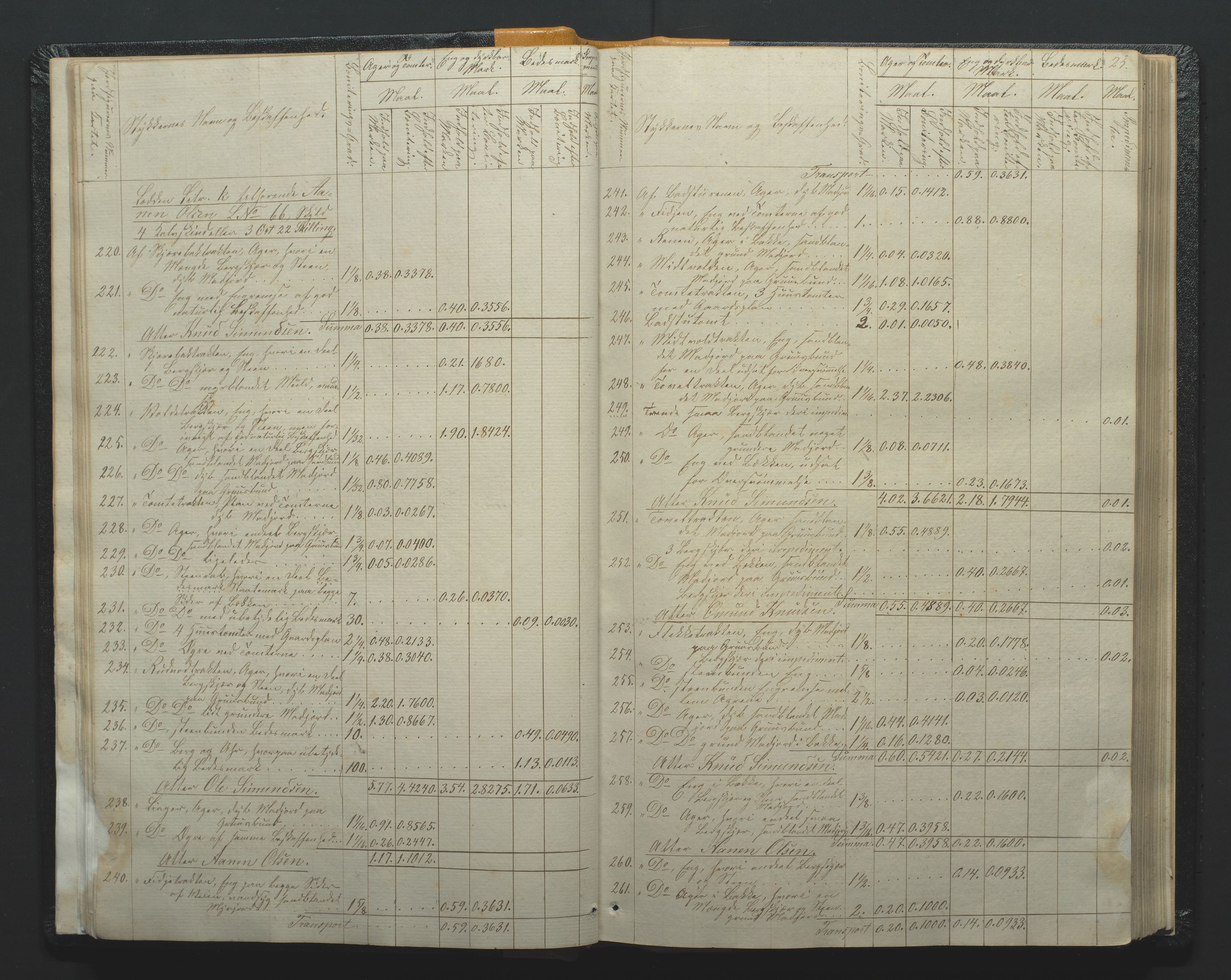 Utskiftningsformannen i Nedenes amt, AV/SAK-1541-0002/F/Fa/Faa/L0002: Utskiftningsprotokoll med gårdsregister, Nedenes amt nr 2, 1860-1867, p. 25