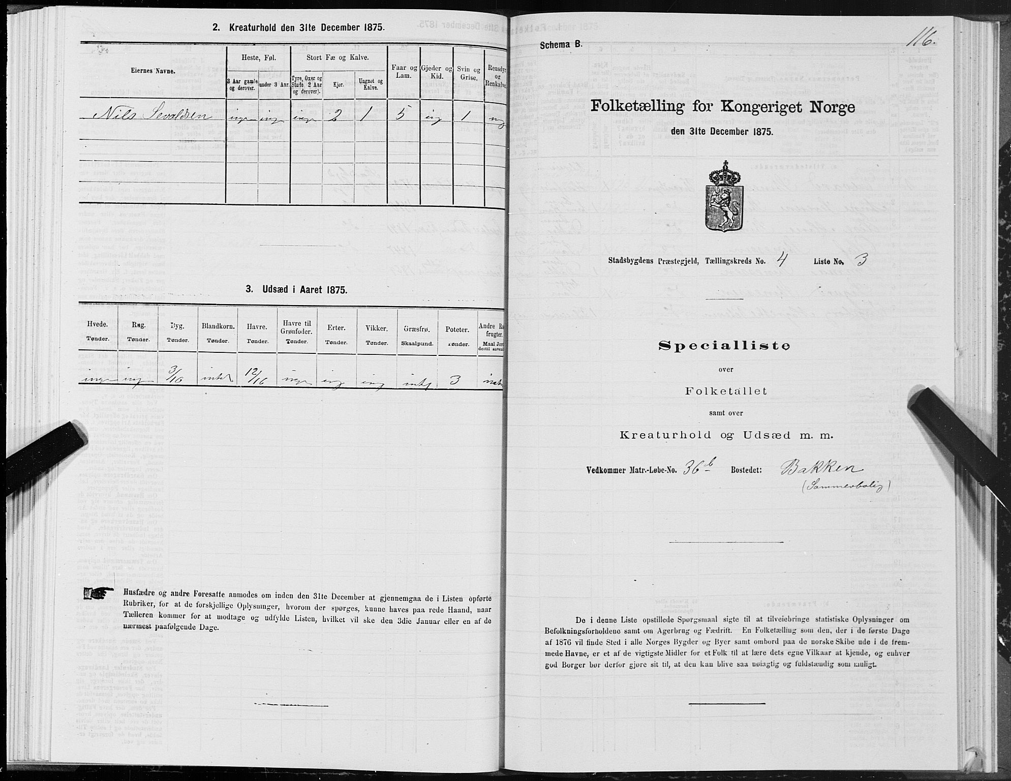 SAT, 1875 census for 1625P Stadsbygd, 1875, p. 2116