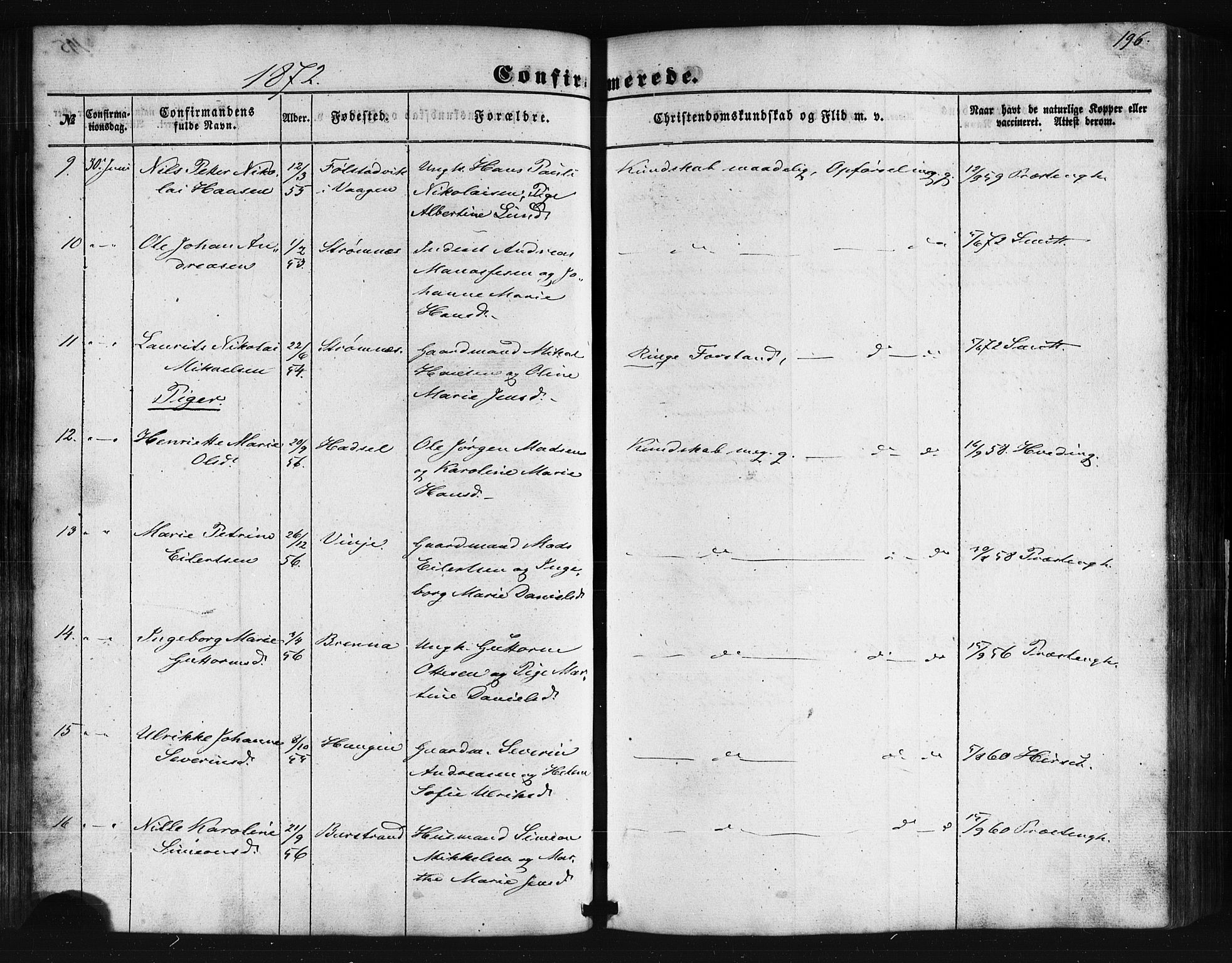 Ministerialprotokoller, klokkerbøker og fødselsregistre - Nordland, AV/SAT-A-1459/876/L1095: Parish register (official) no. 876A01, 1863-1885, p. 196