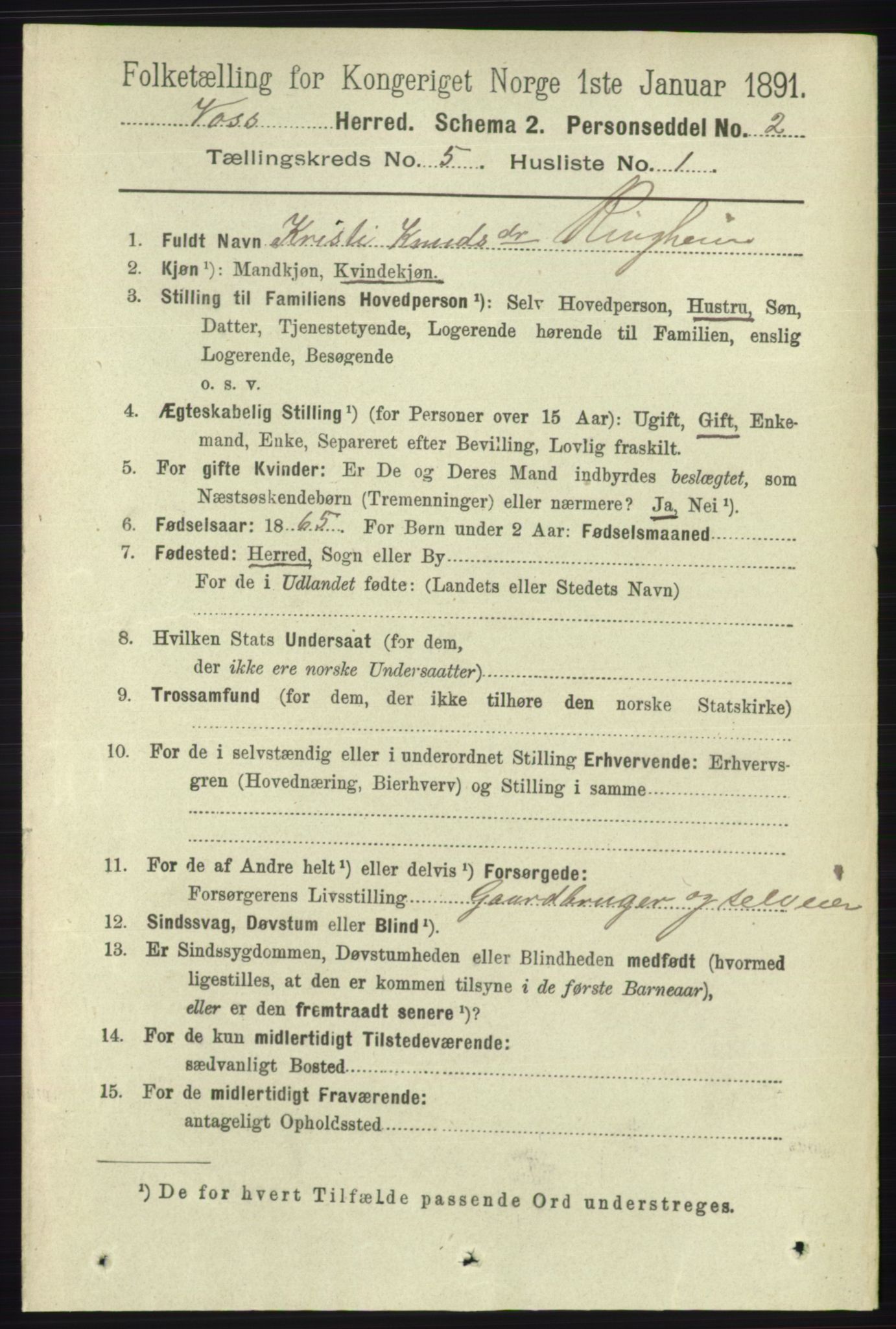 RA, 1891 census for 1235 Voss, 1891, p. 2703