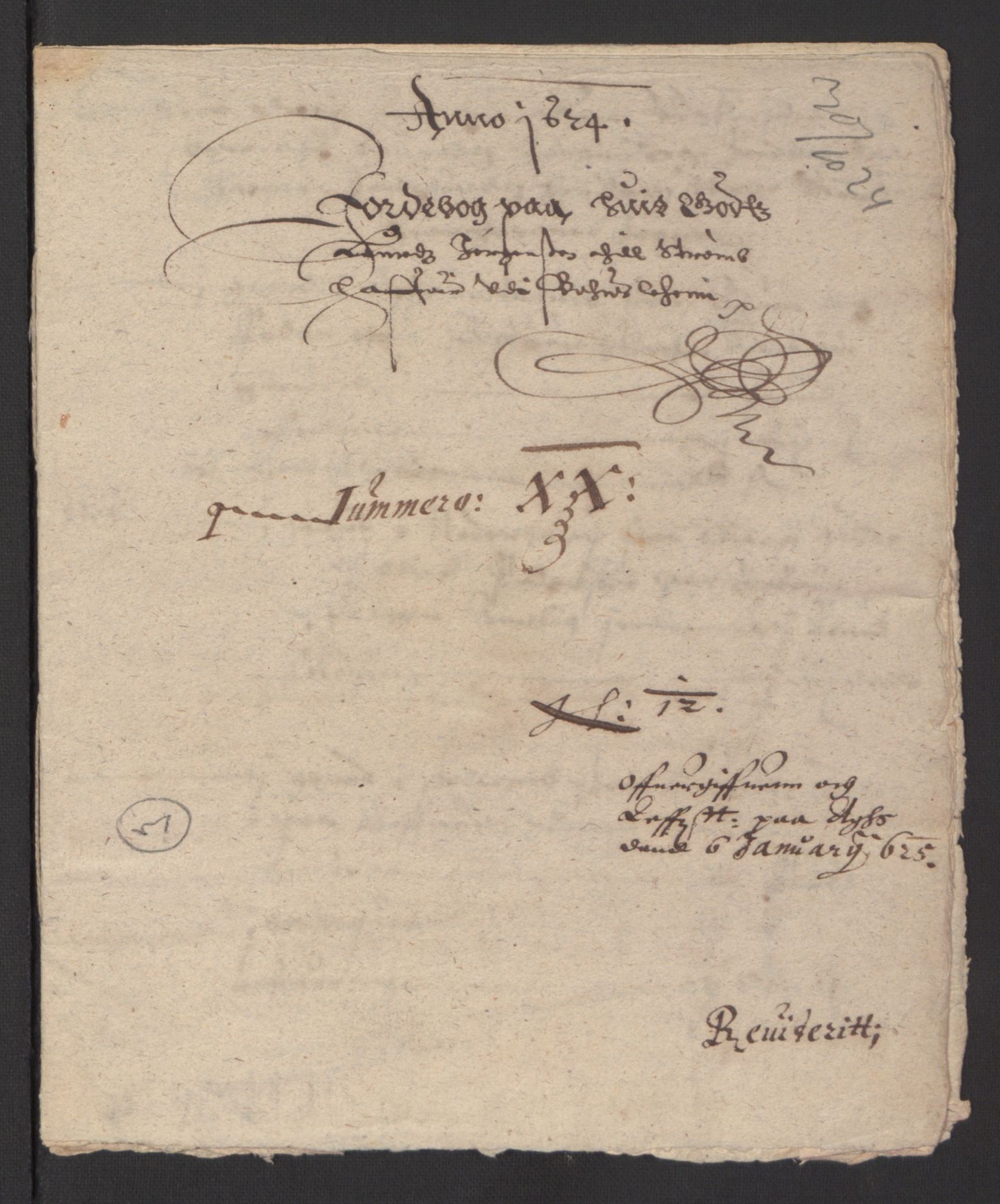 Stattholderembetet 1572-1771, RA/EA-2870/Ek/L0007/0001: Jordebøker til utlikning av rosstjeneste 1624-1626: / Adelsjordebøker, 1624-1625, p. 491