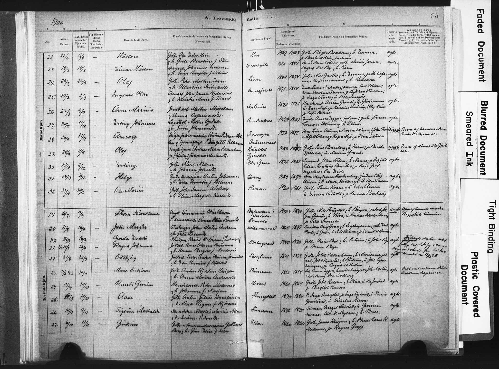 Ministerialprotokoller, klokkerbøker og fødselsregistre - Nord-Trøndelag, SAT/A-1458/721/L0207: Parish register (official) no. 721A02, 1880-1911, p. 85