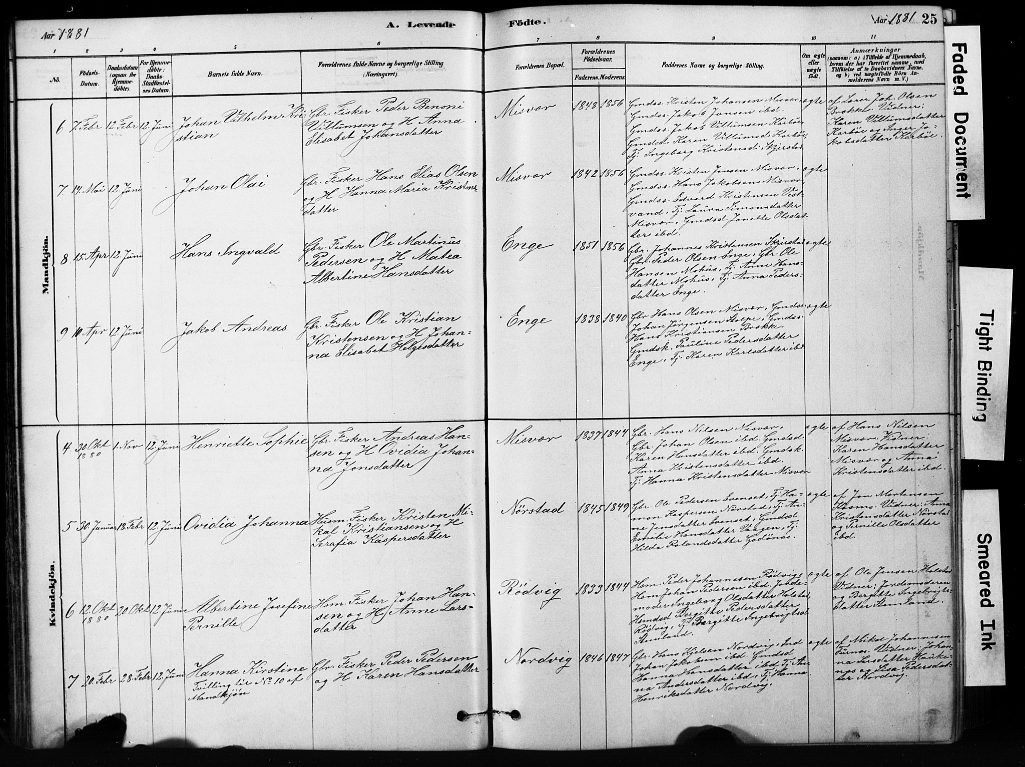 Ministerialprotokoller, klokkerbøker og fødselsregistre - Nordland, AV/SAT-A-1459/852/L0754: Parish register (copy) no. 852C05, 1878-1894, p. 25