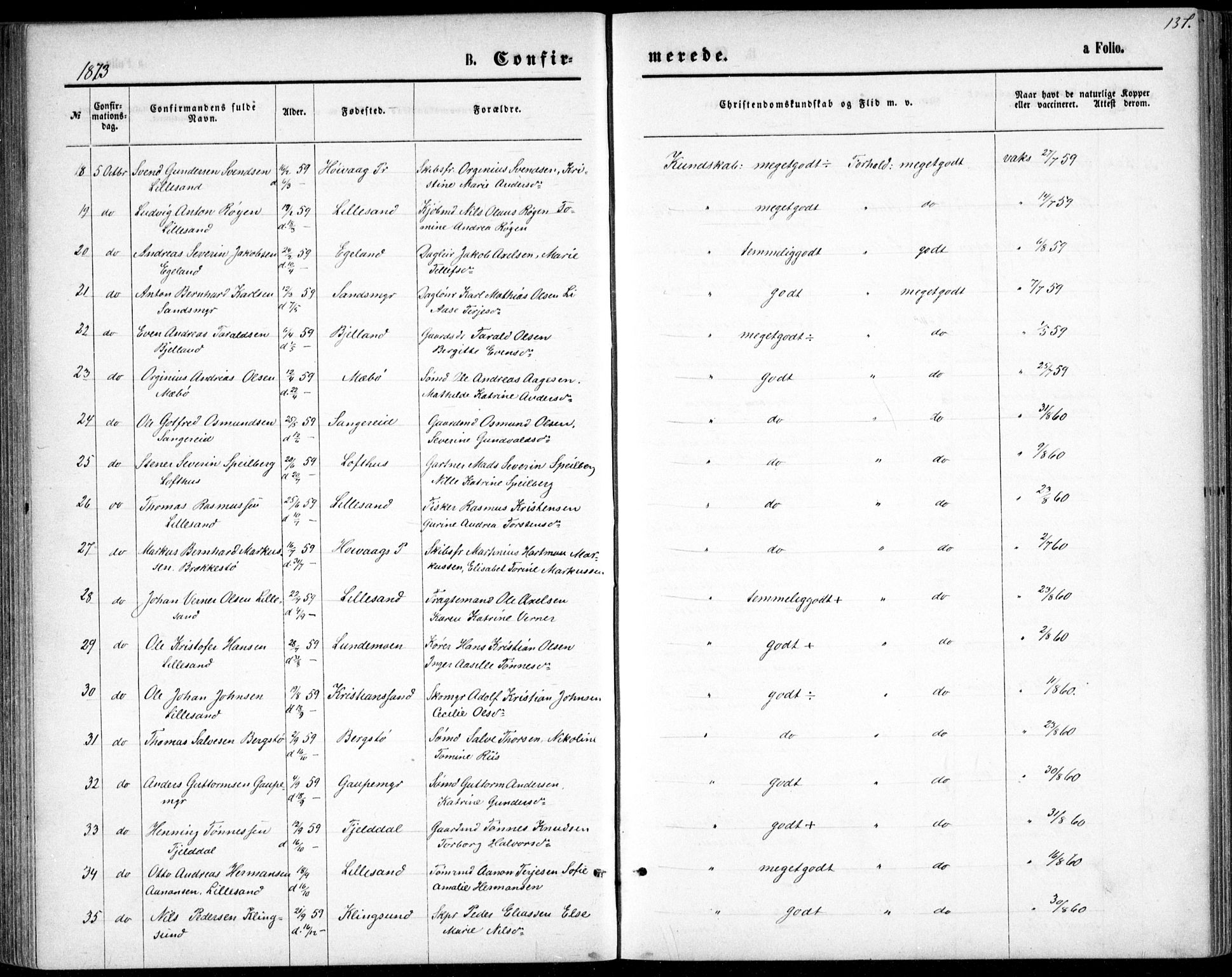 Vestre Moland sokneprestkontor, SAK/1111-0046/F/Fb/Fbb/L0005: Parish register (copy) no. B 5, 1872-1883, p. 137