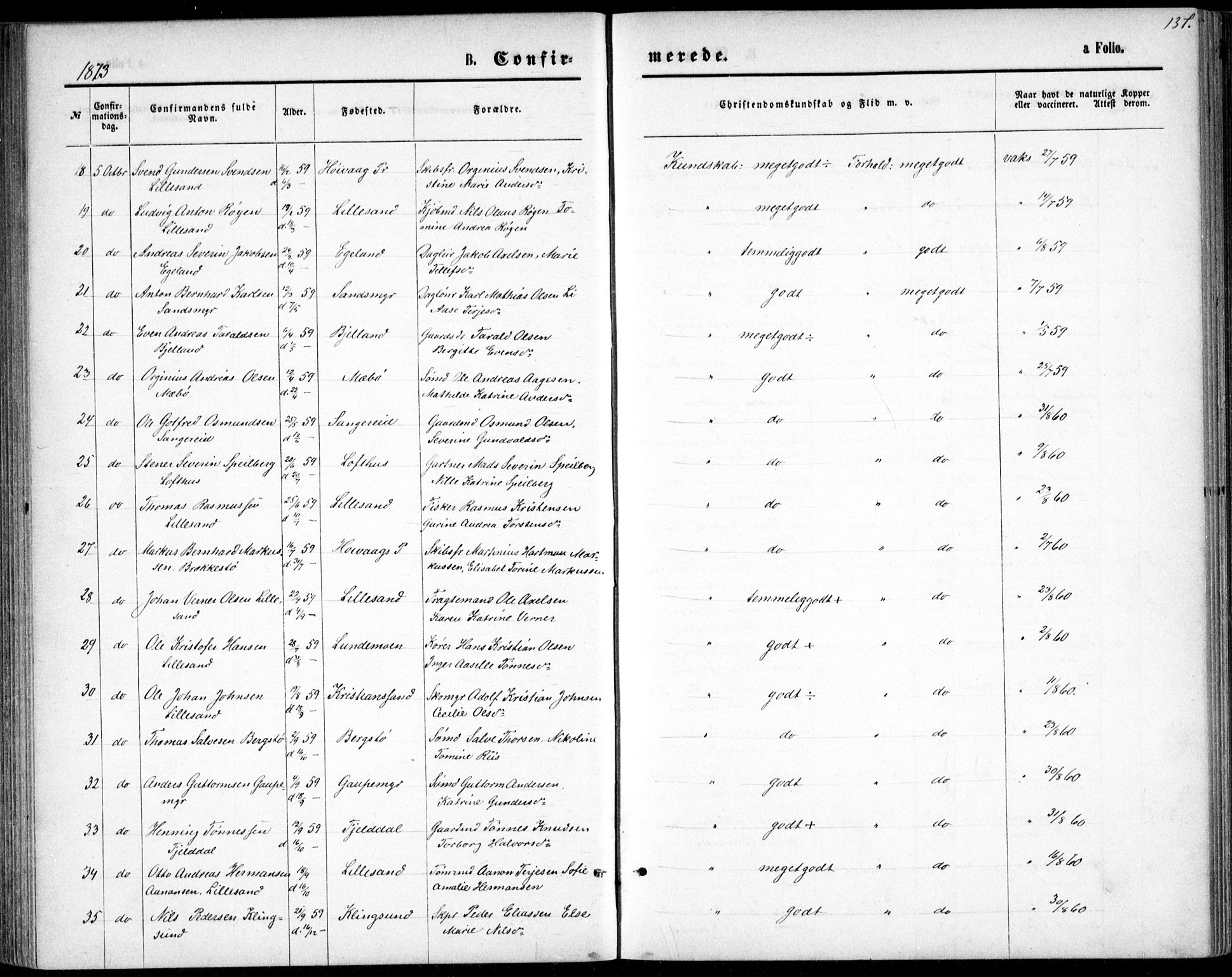 Vestre Moland sokneprestkontor, AV/SAK-1111-0046/F/Fb/Fbb/L0005: Parish register (copy) no. B 5, 1872-1883, p. 137