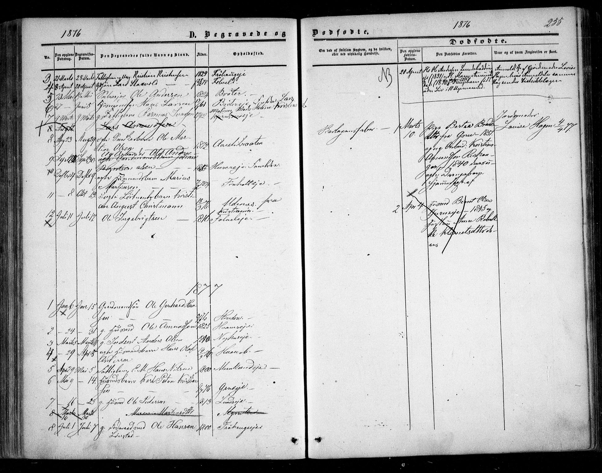 Nes prestekontor Kirkebøker, AV/SAO-A-10410/F/Fc/L0001: Parish register (official) no. III 1, 1859-1882, p. 255