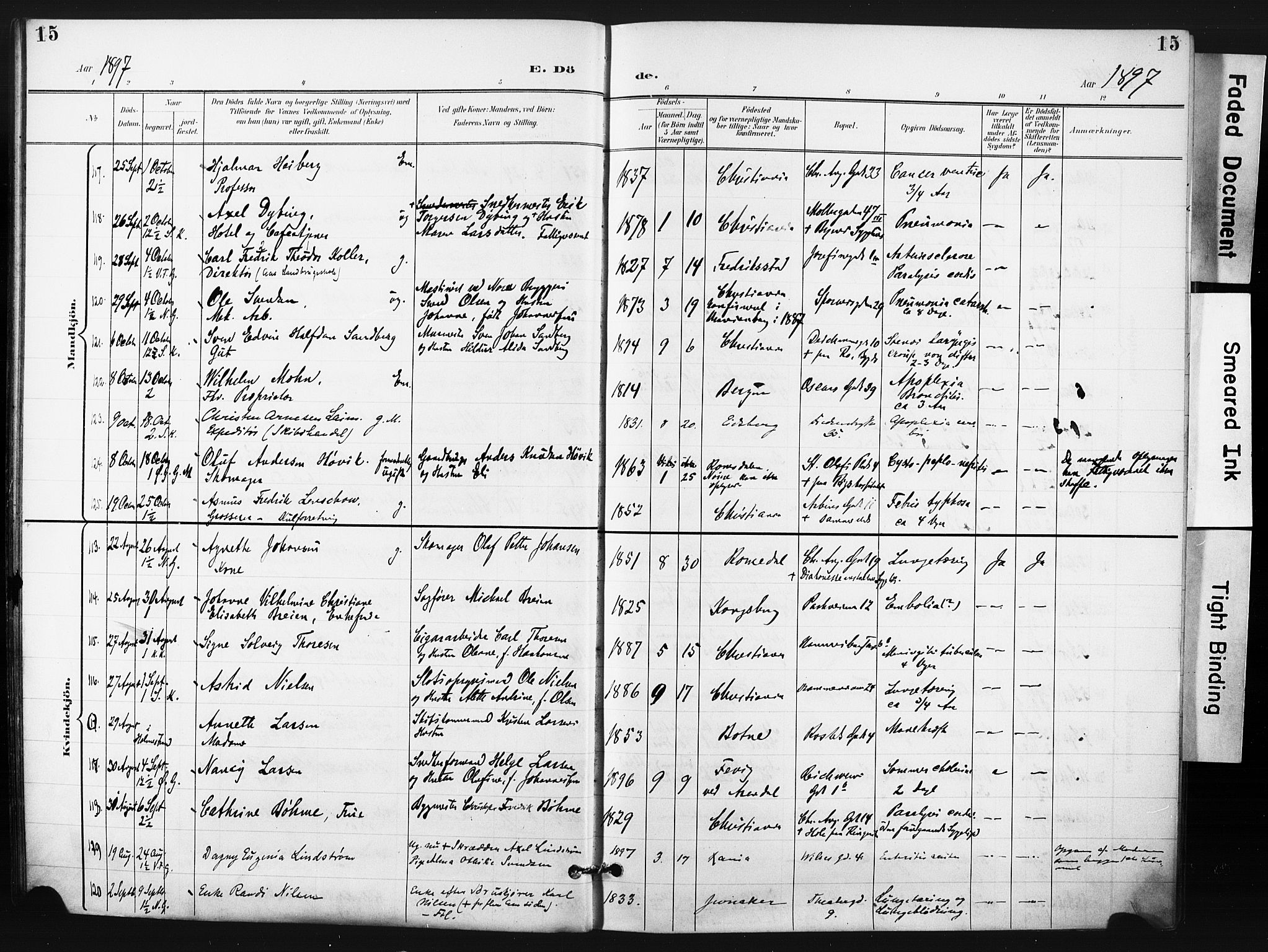 Trefoldighet prestekontor Kirkebøker, AV/SAO-A-10882/F/Fd/L0004: Parish register (official) no. IV 4, 1897-1912, p. 15