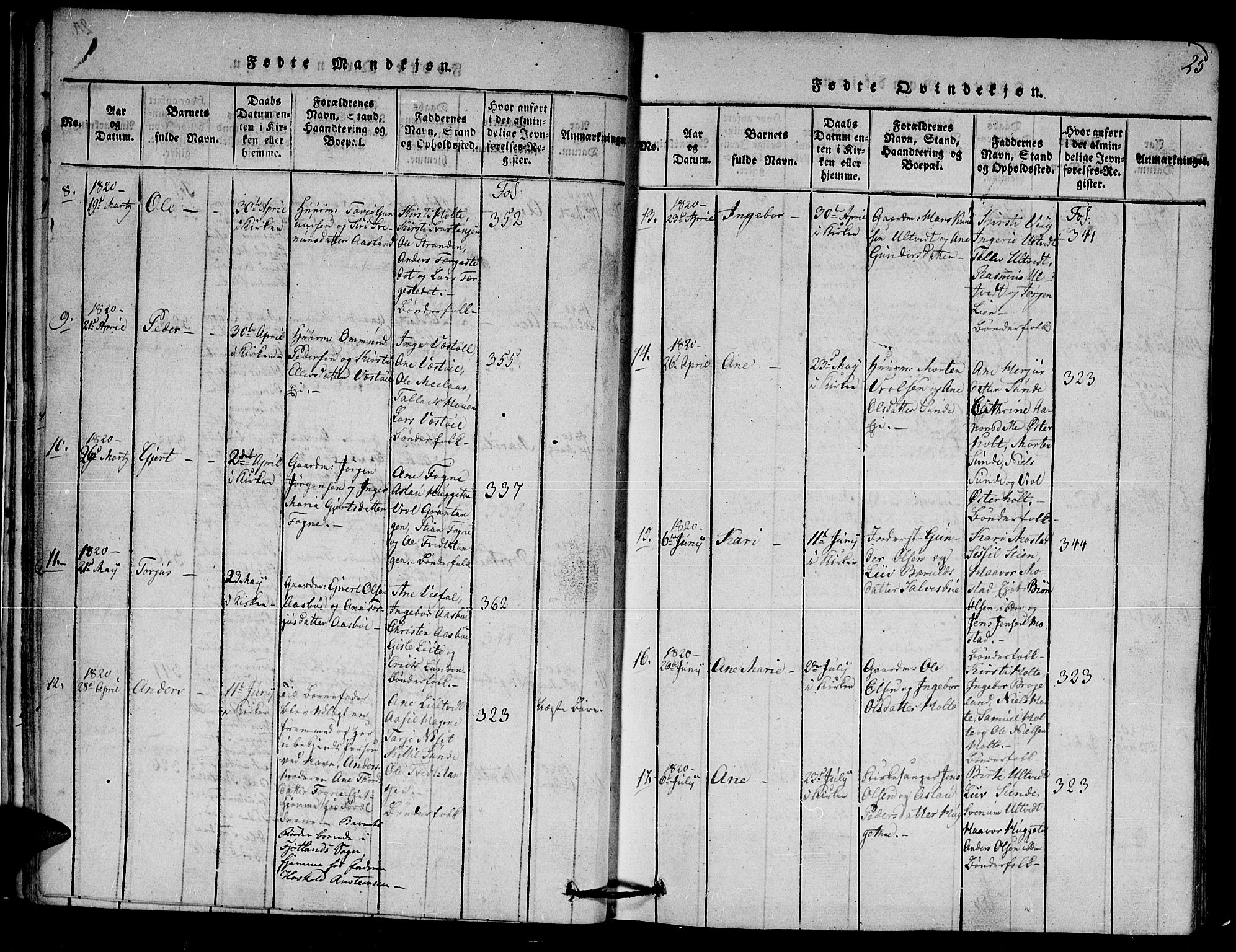 Gjerstad sokneprestkontor, AV/SAK-1111-0014/F/Fa/Faa/L0004: Parish register (official) no. A 4, 1816-1829, p. 25