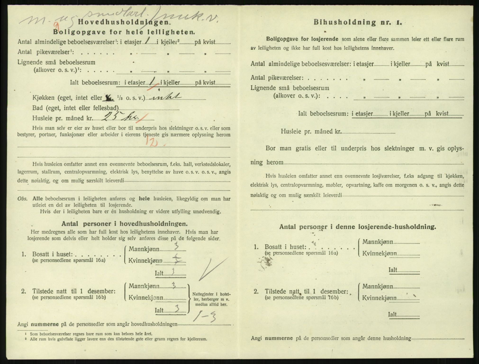 SAKO, 1920 census for Larvik, 1920, p. 8233