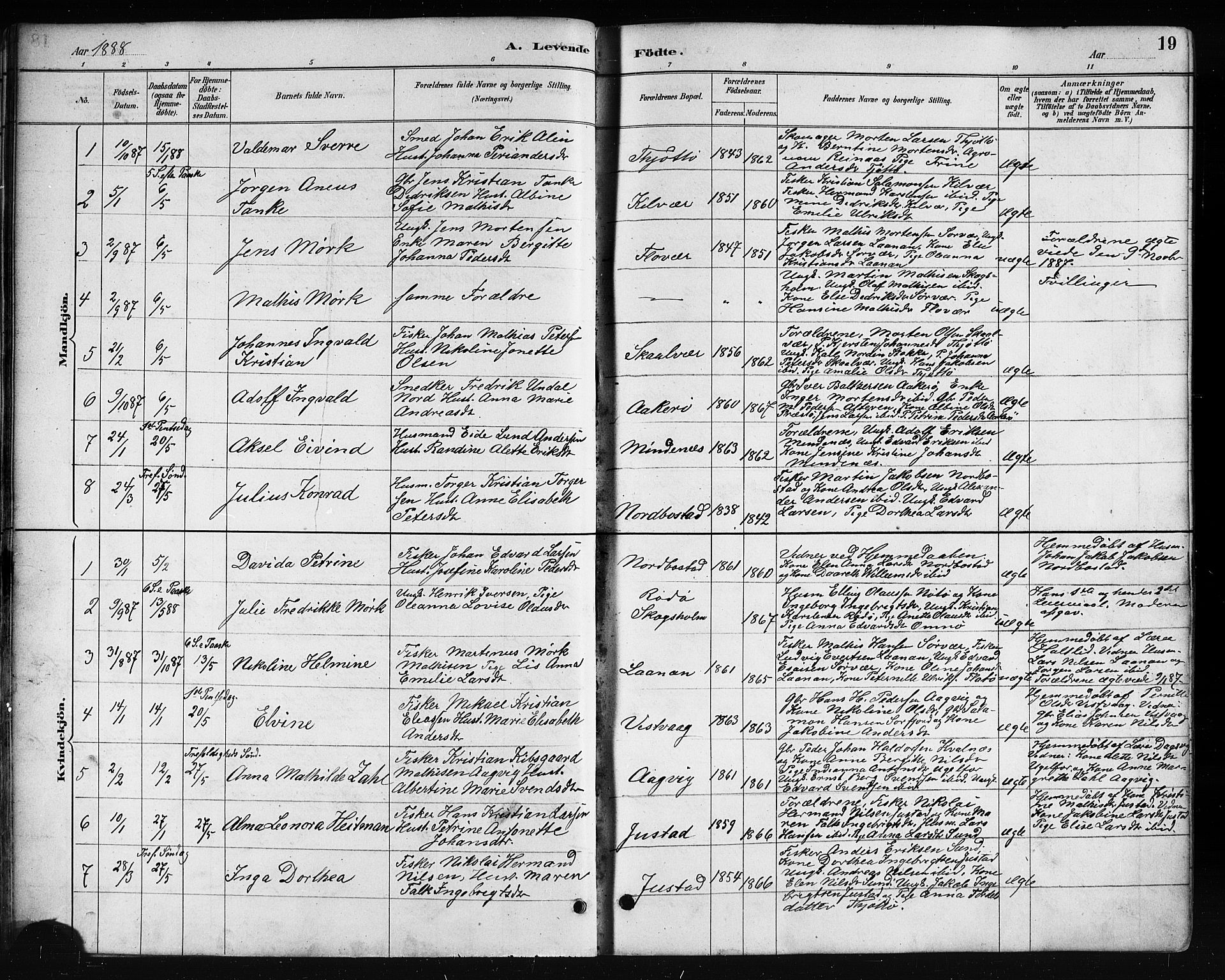 Ministerialprotokoller, klokkerbøker og fødselsregistre - Nordland, AV/SAT-A-1459/817/L0268: Parish register (copy) no. 817C03, 1884-1920, p. 19