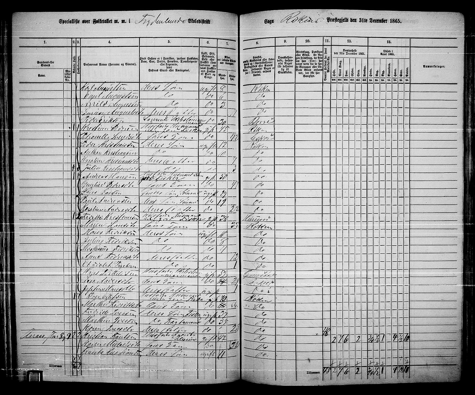 RA, 1865 census for Røyken, 1865, p. 91