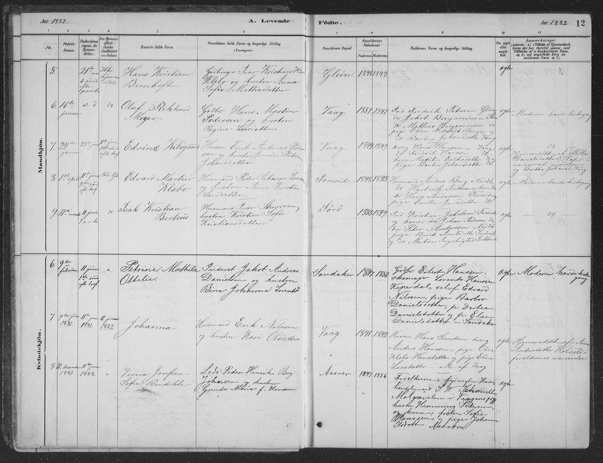 Ministerialprotokoller, klokkerbøker og fødselsregistre - Nordland, AV/SAT-A-1459/835/L0532: Parish register (copy) no. 835C04, 1880-1905, p. 12