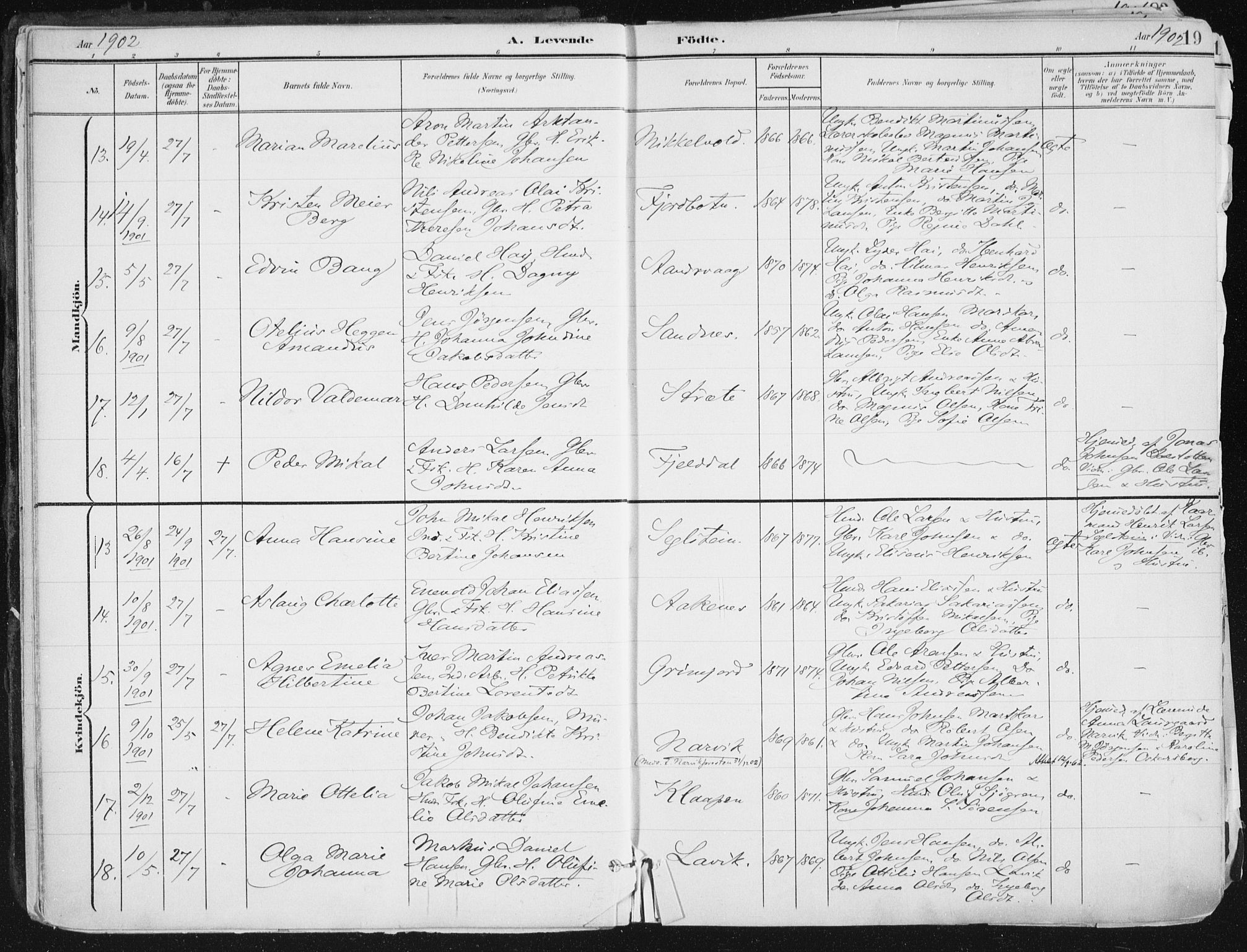 Ibestad sokneprestembete, AV/SATØ-S-0077/H/Ha/Haa/L0017kirke: Parish register (official) no. 17, 1901-1914, p. 19