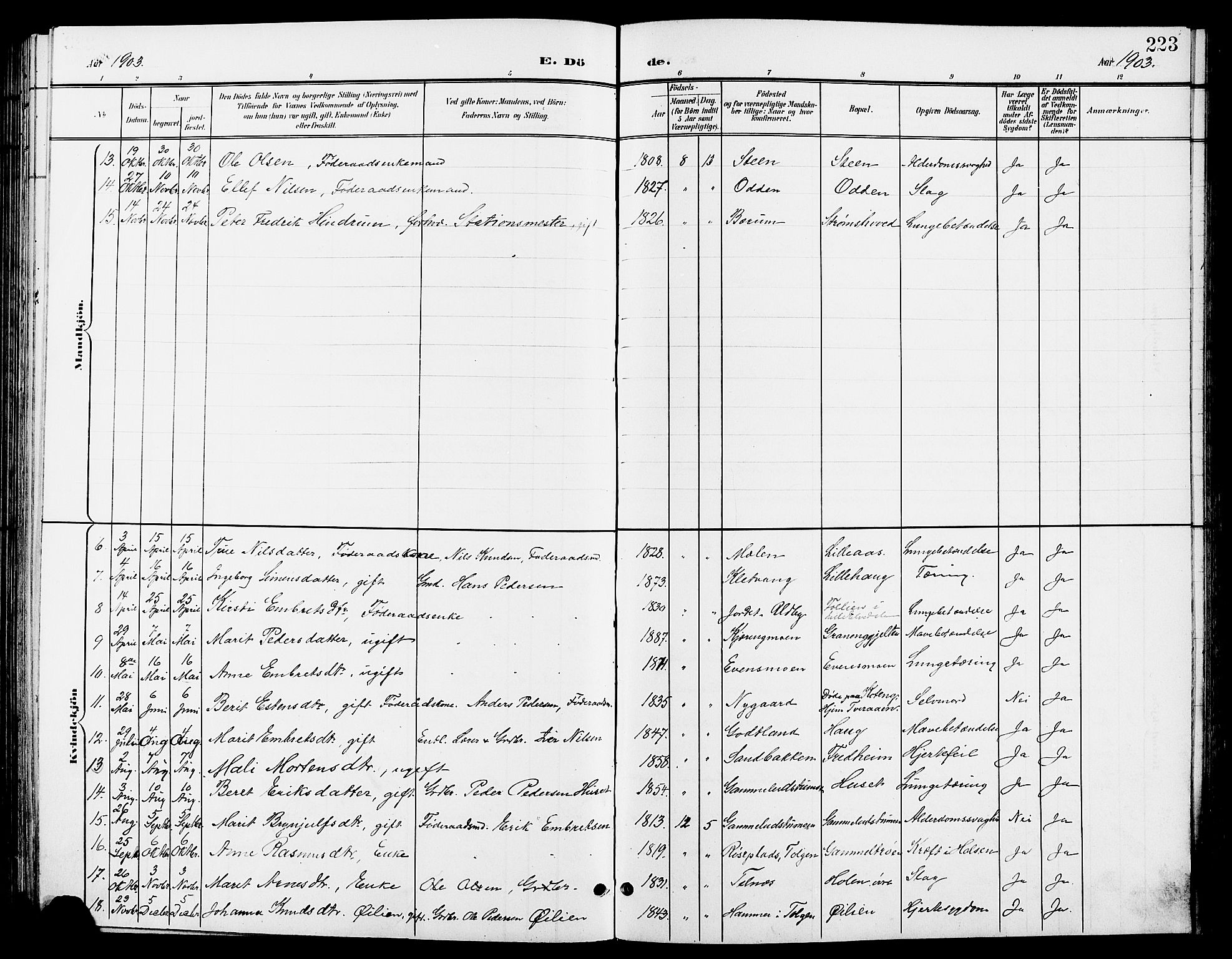 Tynset prestekontor, AV/SAH-PREST-058/H/Ha/Hab/L0009: Parish register (copy) no. 9, 1900-1914, p. 223