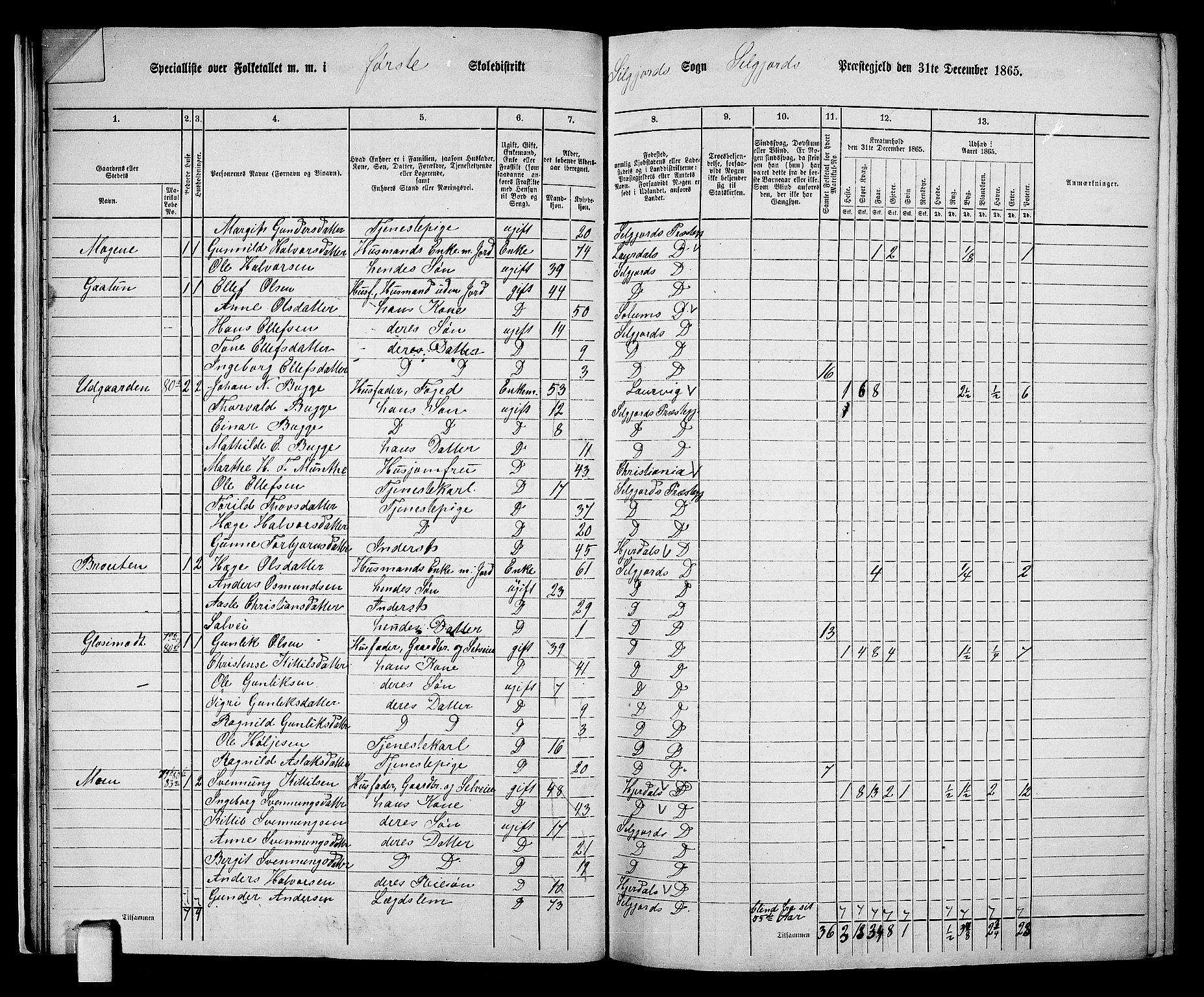 RA, 1865 census for Seljord, 1865, p. 21