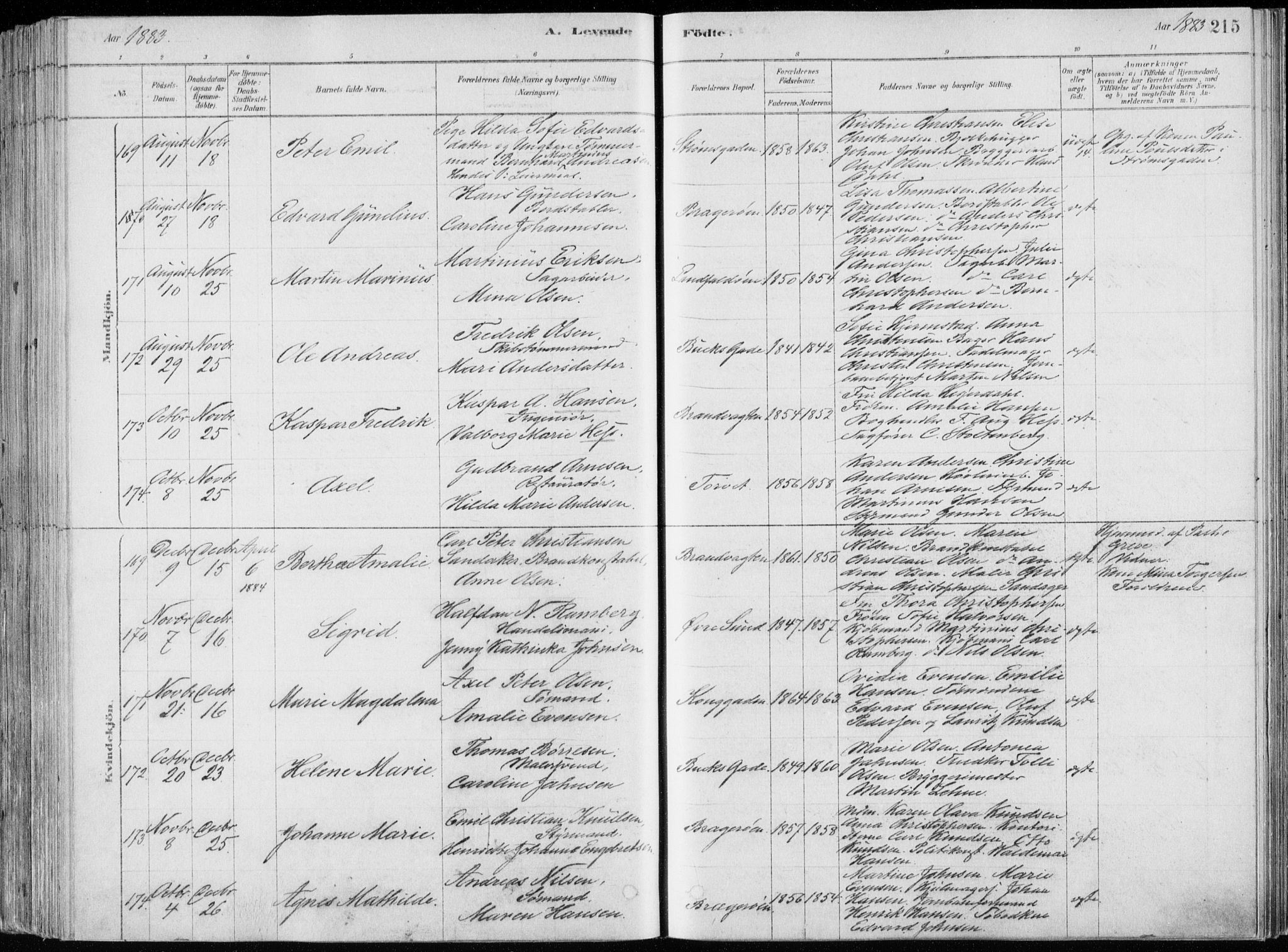 Bragernes kirkebøker, AV/SAKO-A-6/F/Fb/L0006a: Parish register (official) no. II 6A, 1878-1885, p. 215