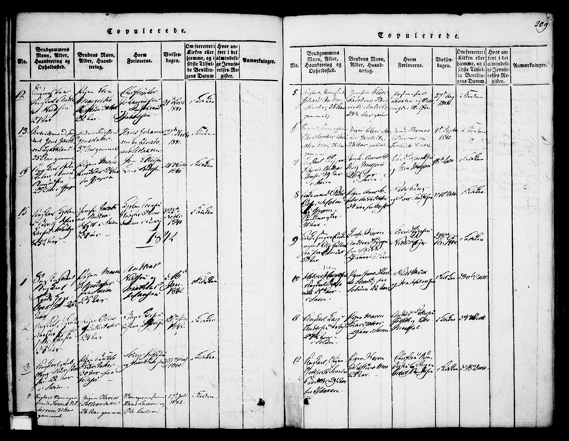 Skien kirkebøker, AV/SAKO-A-302/F/Fa/L0005: Parish register (official) no. 5, 1814-1843, p. 209