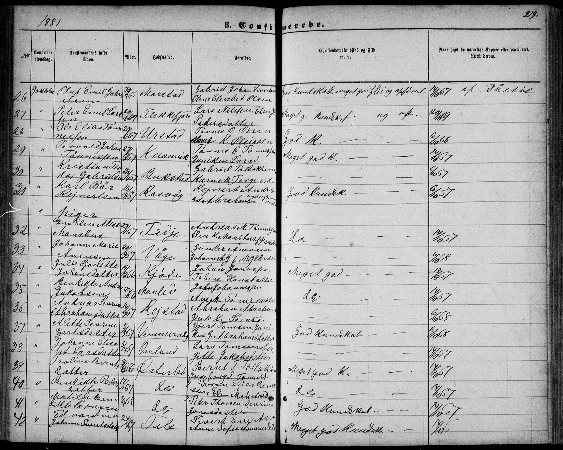 Flekkefjord sokneprestkontor, AV/SAK-1111-0012/F/Fb/Fbb/L0003: Parish register (copy) no. B 3, 1867-1889, p. 219