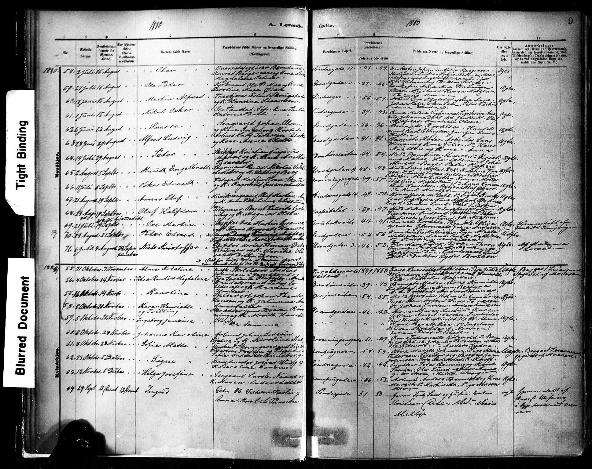 Ministerialprotokoller, klokkerbøker og fødselsregistre - Sør-Trøndelag, SAT/A-1456/602/L0119: Parish register (official) no. 602A17, 1880-1901, p. 9
