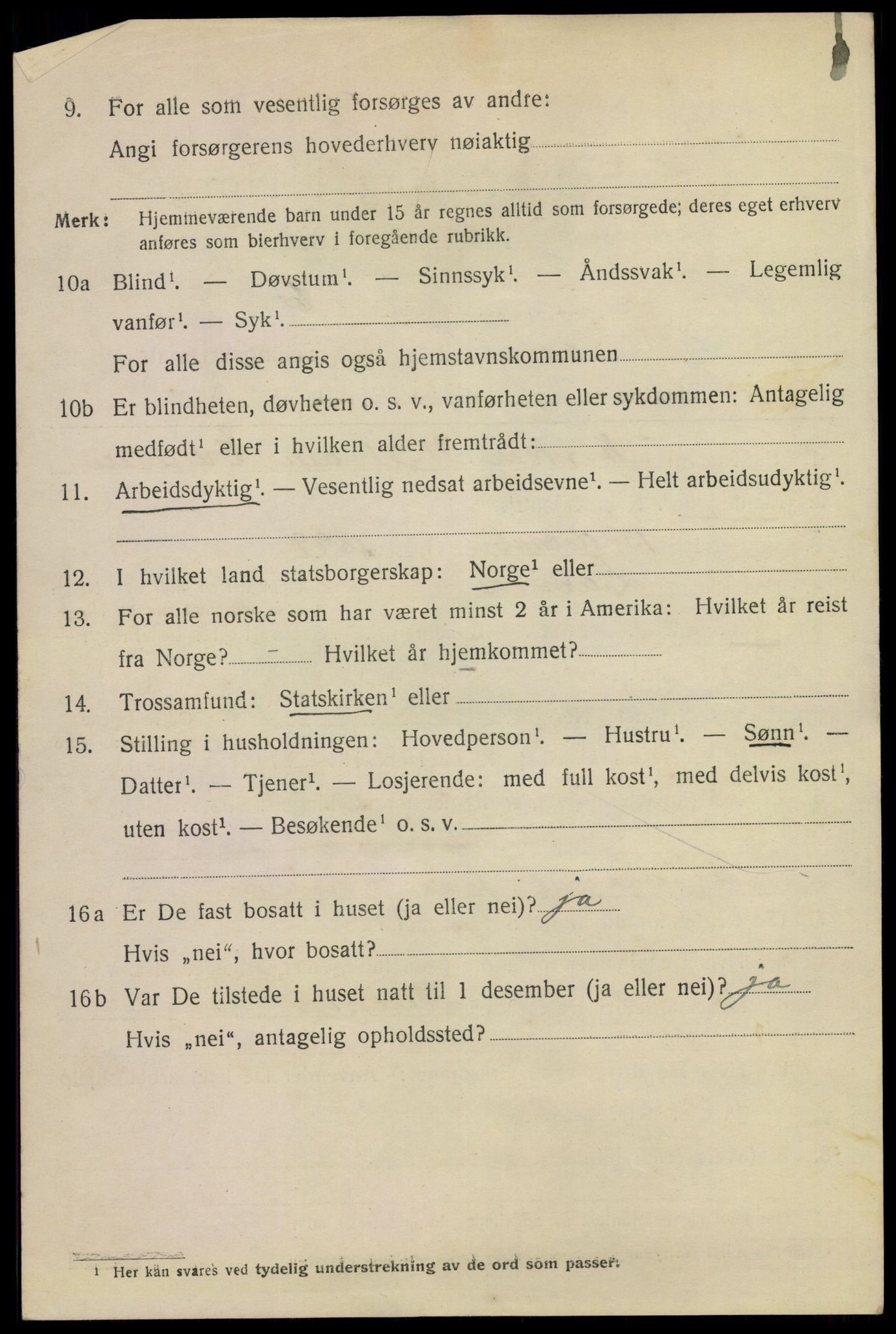 SAKO, 1920 census for Larvik, 1920, p. 13461