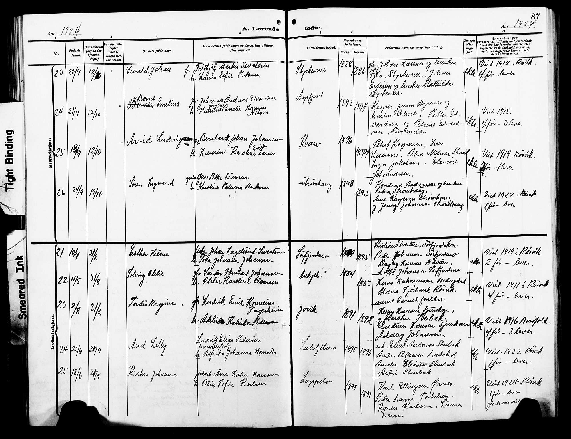 Ministerialprotokoller, klokkerbøker og fødselsregistre - Nordland, AV/SAT-A-1459/854/L0787: Parish register (copy) no. 854C03, 1913-1926, p. 87