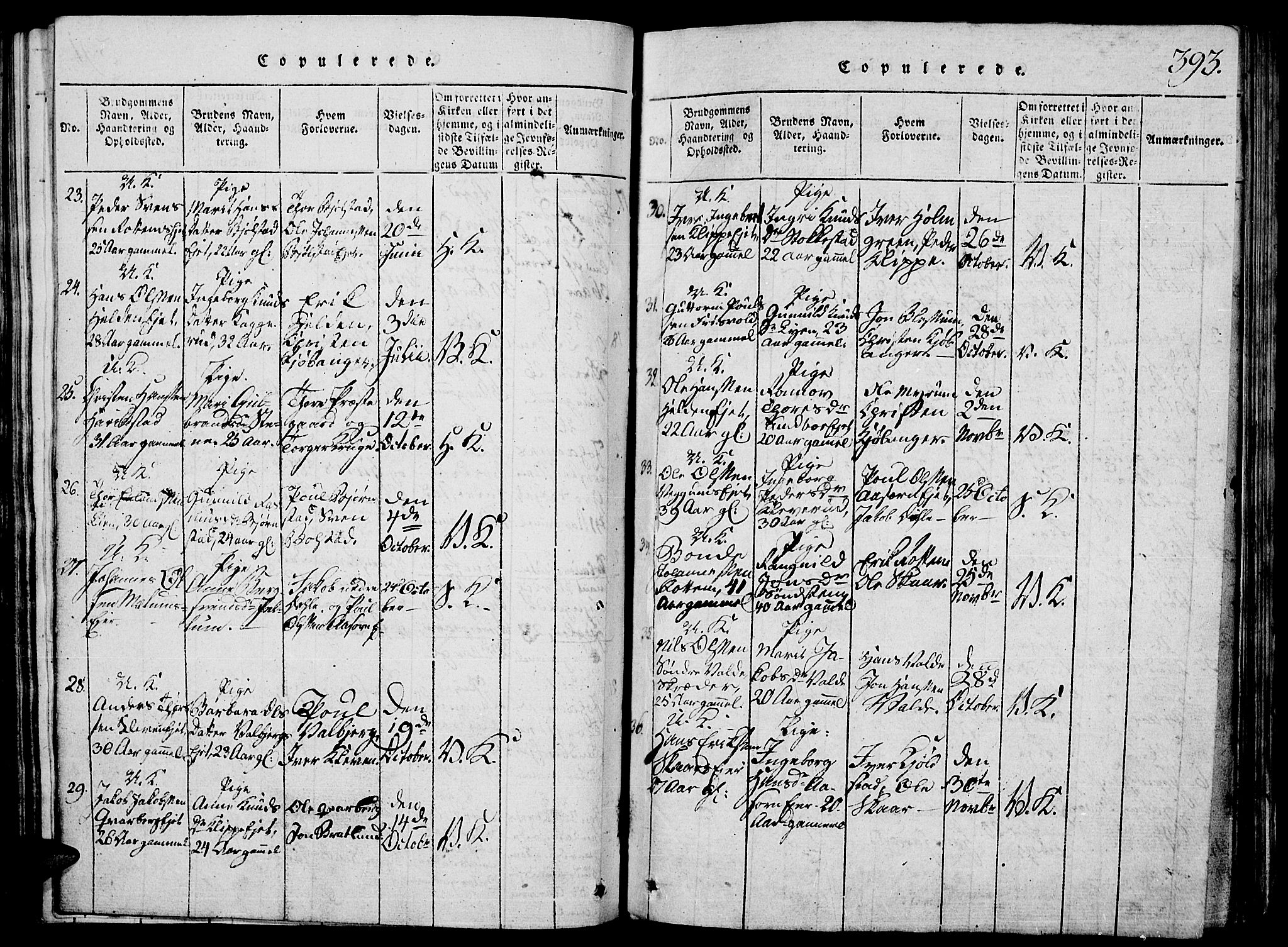 Vågå prestekontor, SAH/PREST-076/H/Ha/Hab/L0001: Parish register (copy) no. 1, 1815-1827, p. 392-393