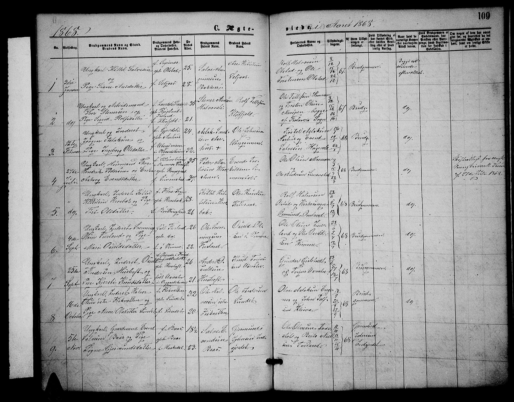 Åmli sokneprestkontor, SAK/1111-0050/F/Fb/Fbc/L0003: Parish register (copy) no. B 3, 1868-1888, p. 109