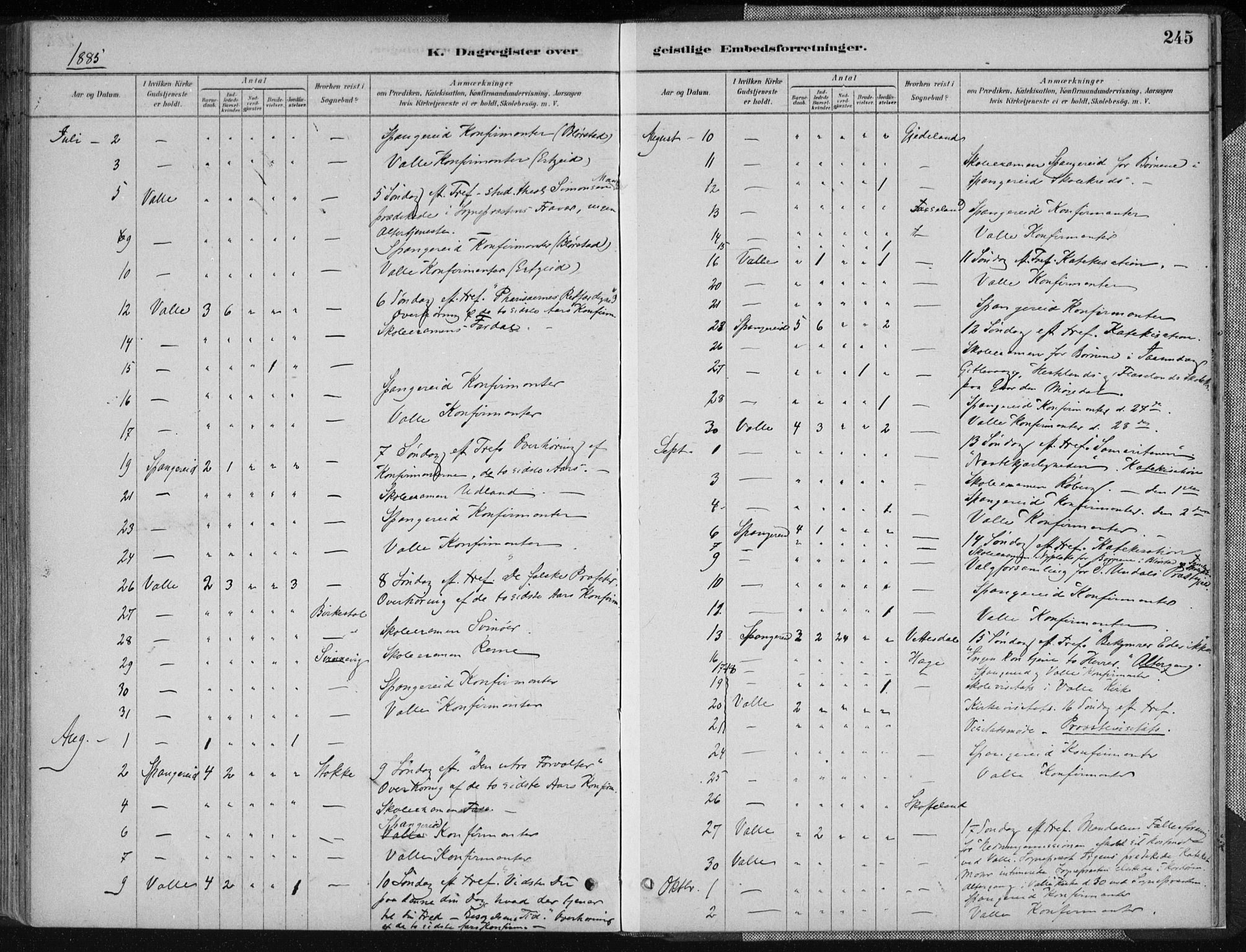 Sør-Audnedal sokneprestkontor, AV/SAK-1111-0039/F/Fa/Fab/L0009: Parish register (official) no. A 9, 1880-1895, p. 245