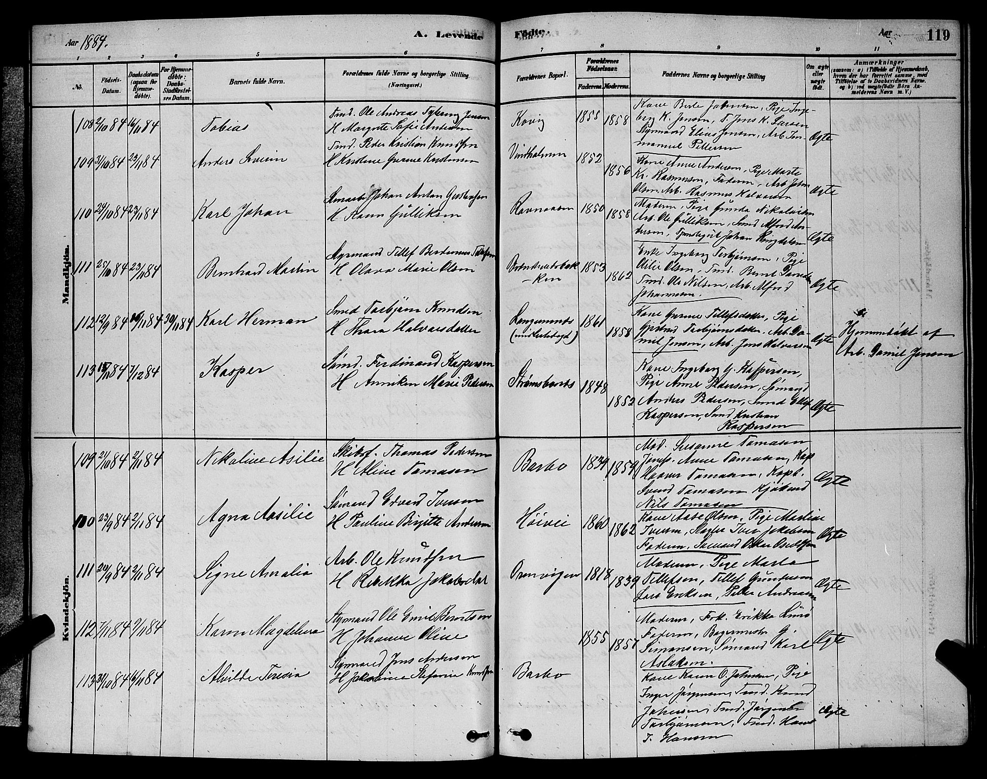 Barbu sokneprestkontor, AV/SAK-1111-0003/F/Fb/L0001: Parish register (copy) no. B 1, 1878-1890, p. 119