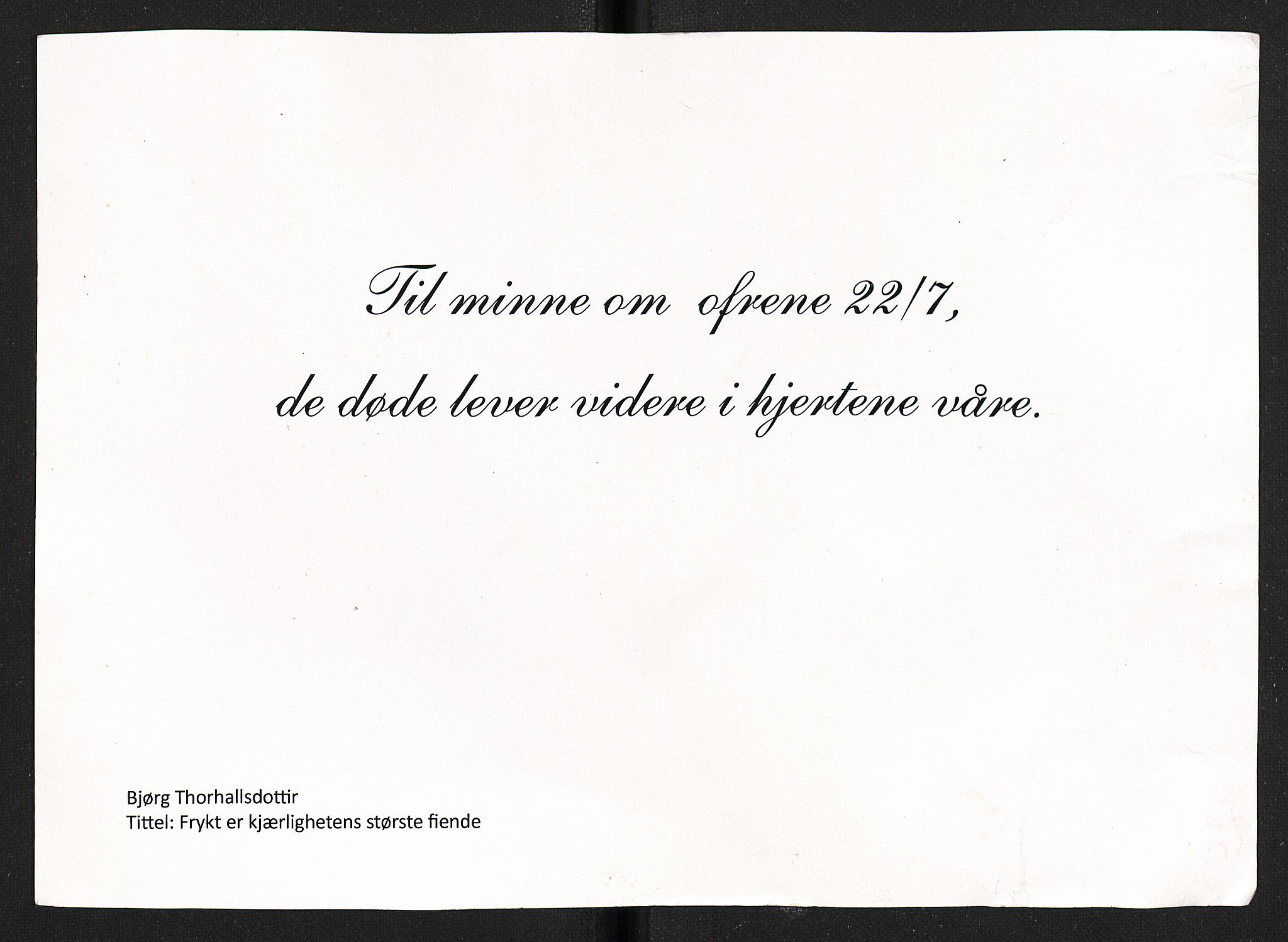 Minnemateriale etter 22.07.2011, RA/S-6313/00/A/L0001: Minnemateriale utvalgt for publisering i forbindelse med ettårsmarkeringen, 2011, p. 483