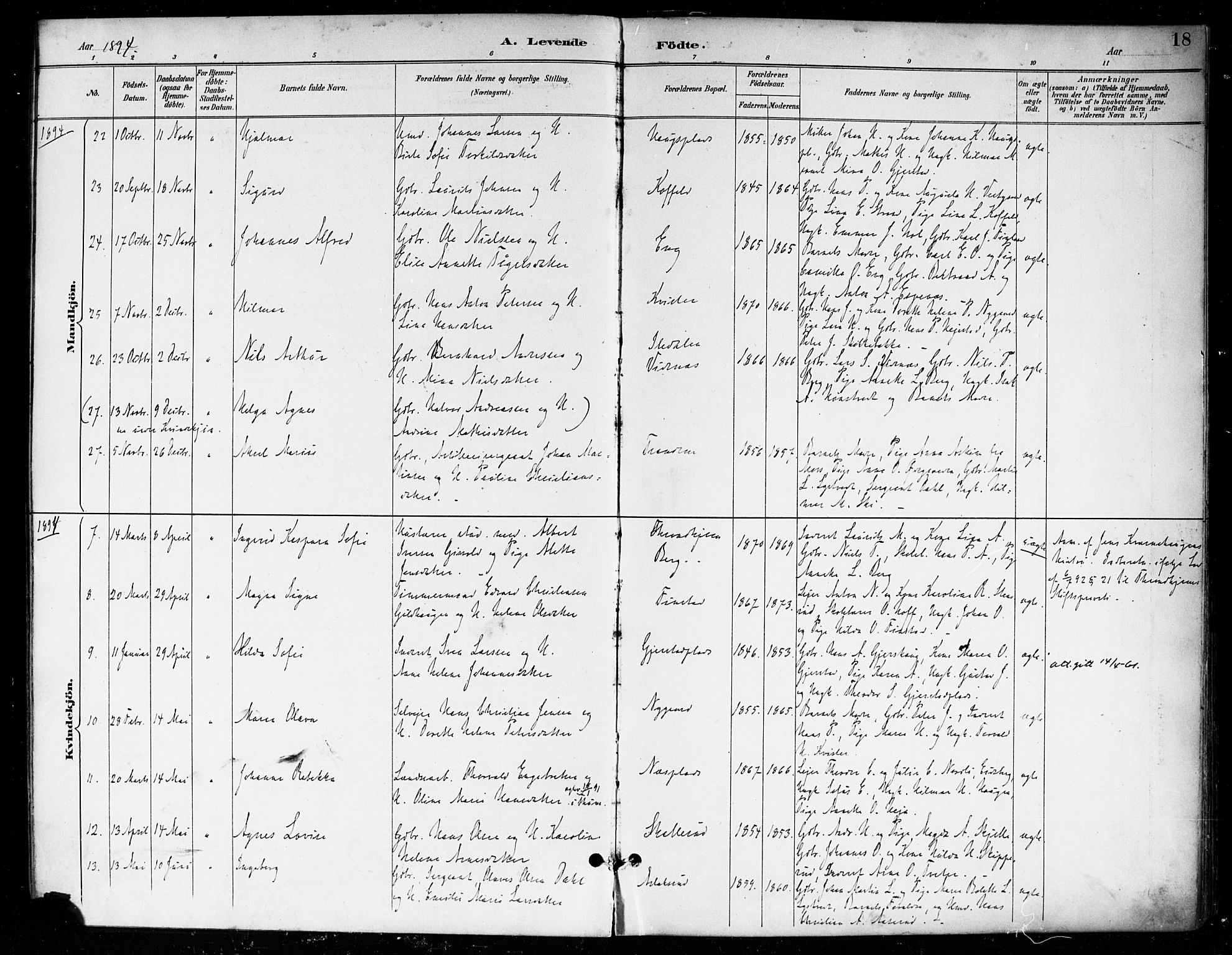 Skiptvet prestekontor Kirkebøker, SAO/A-20009/F/Fa/L0010: Parish register (official) no. 10, 1890-1900, p. 18