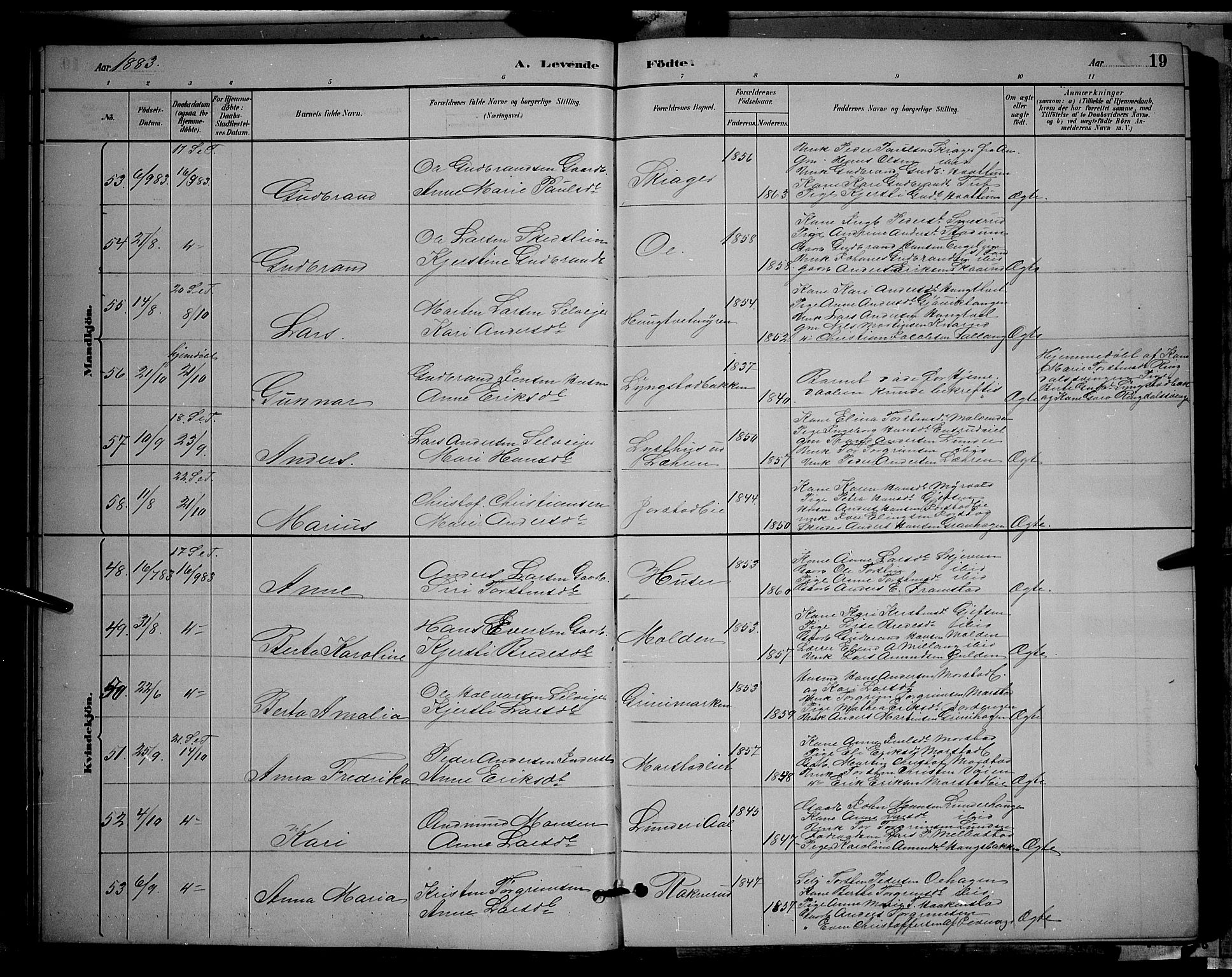 Gran prestekontor, AV/SAH-PREST-112/H/Ha/Hab/L0002: Parish register (copy) no. 2, 1879-1892, p. 19