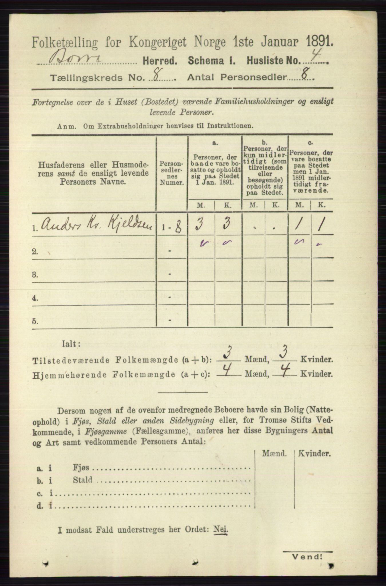 RA, 1891 census for 0717 Borre, 1891, p. 3676