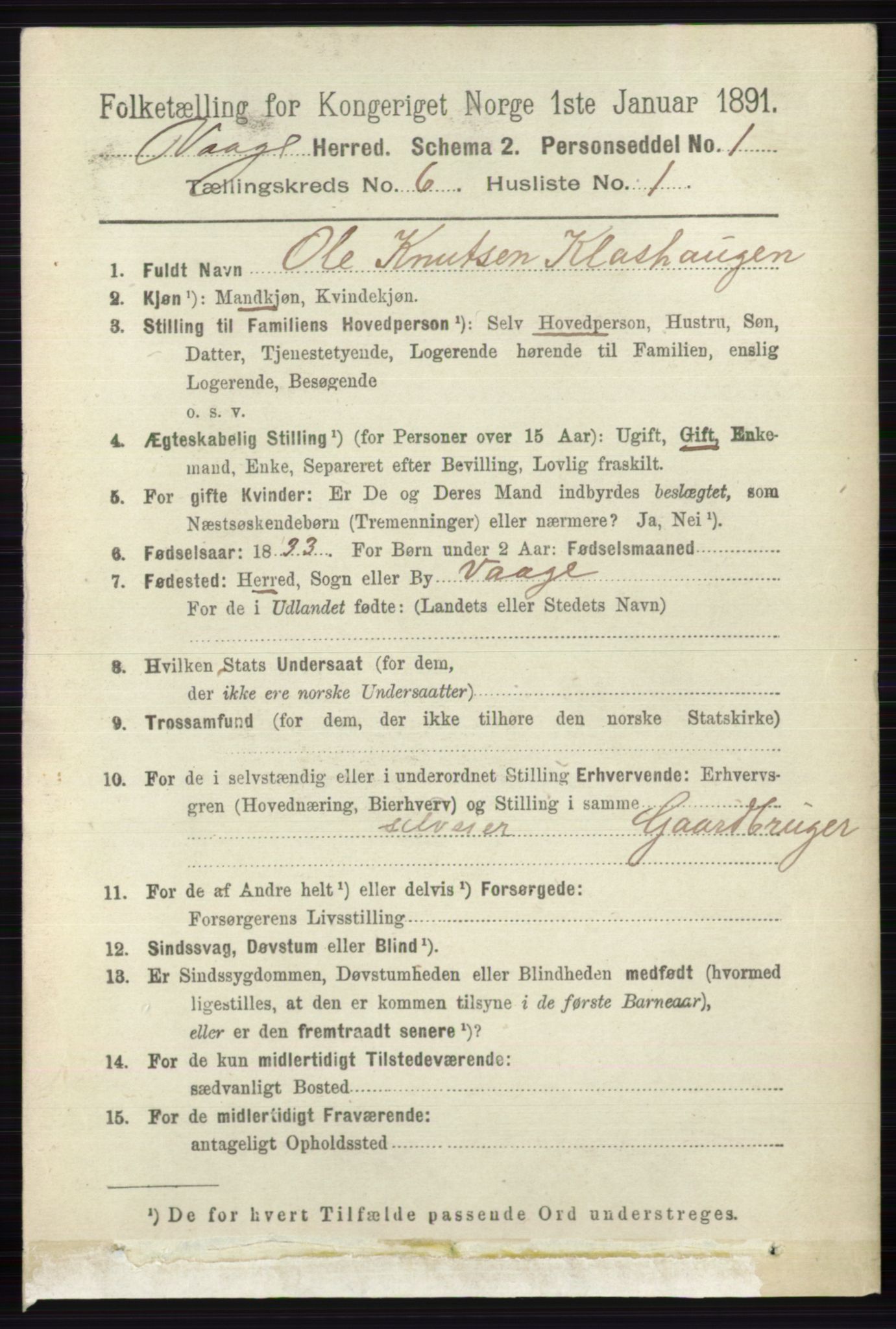 RA, 1891 census for 0515 Vågå, 1891, p. 3896