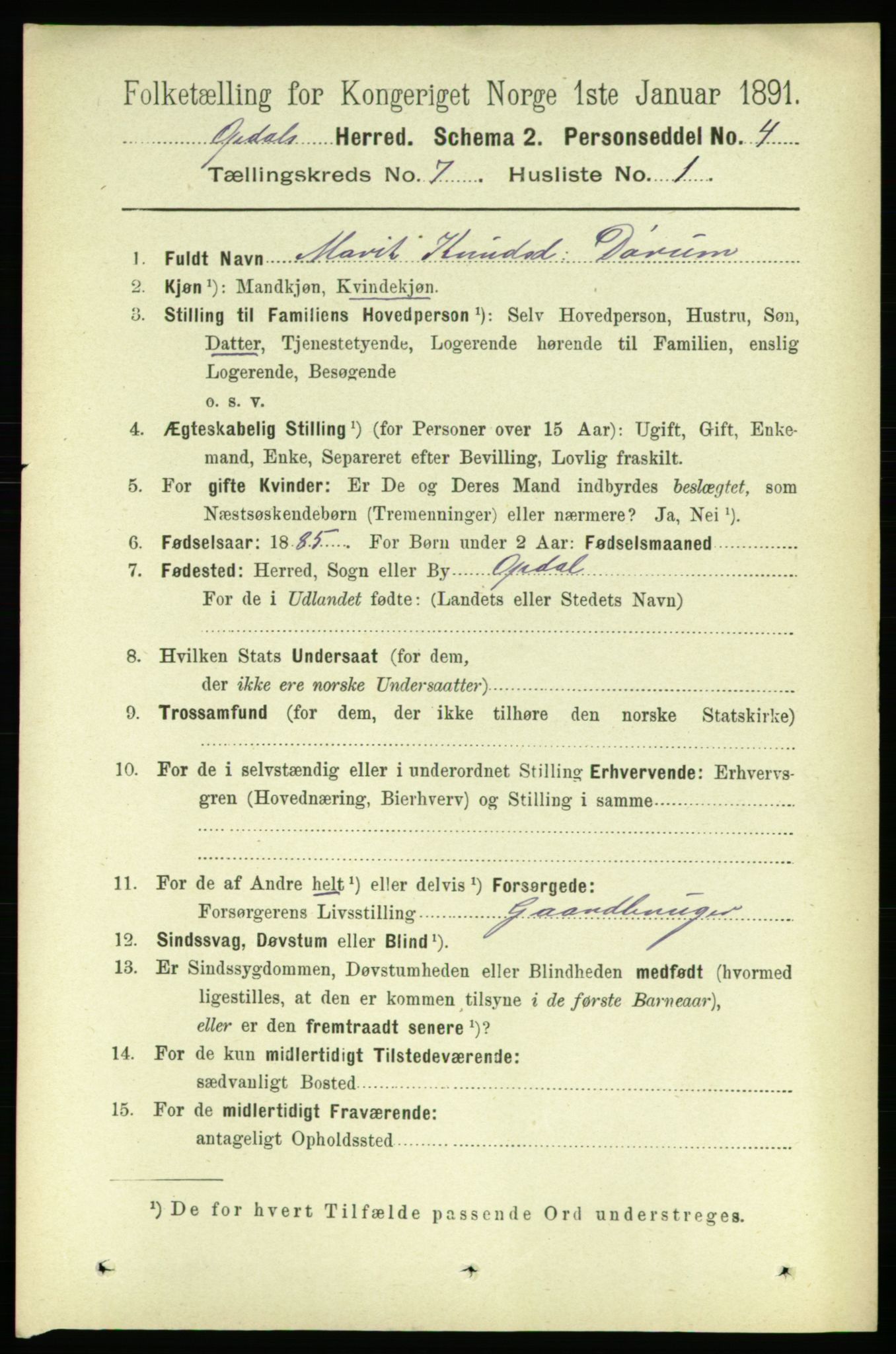 RA, 1891 census for 1634 Oppdal, 1891, p. 3501