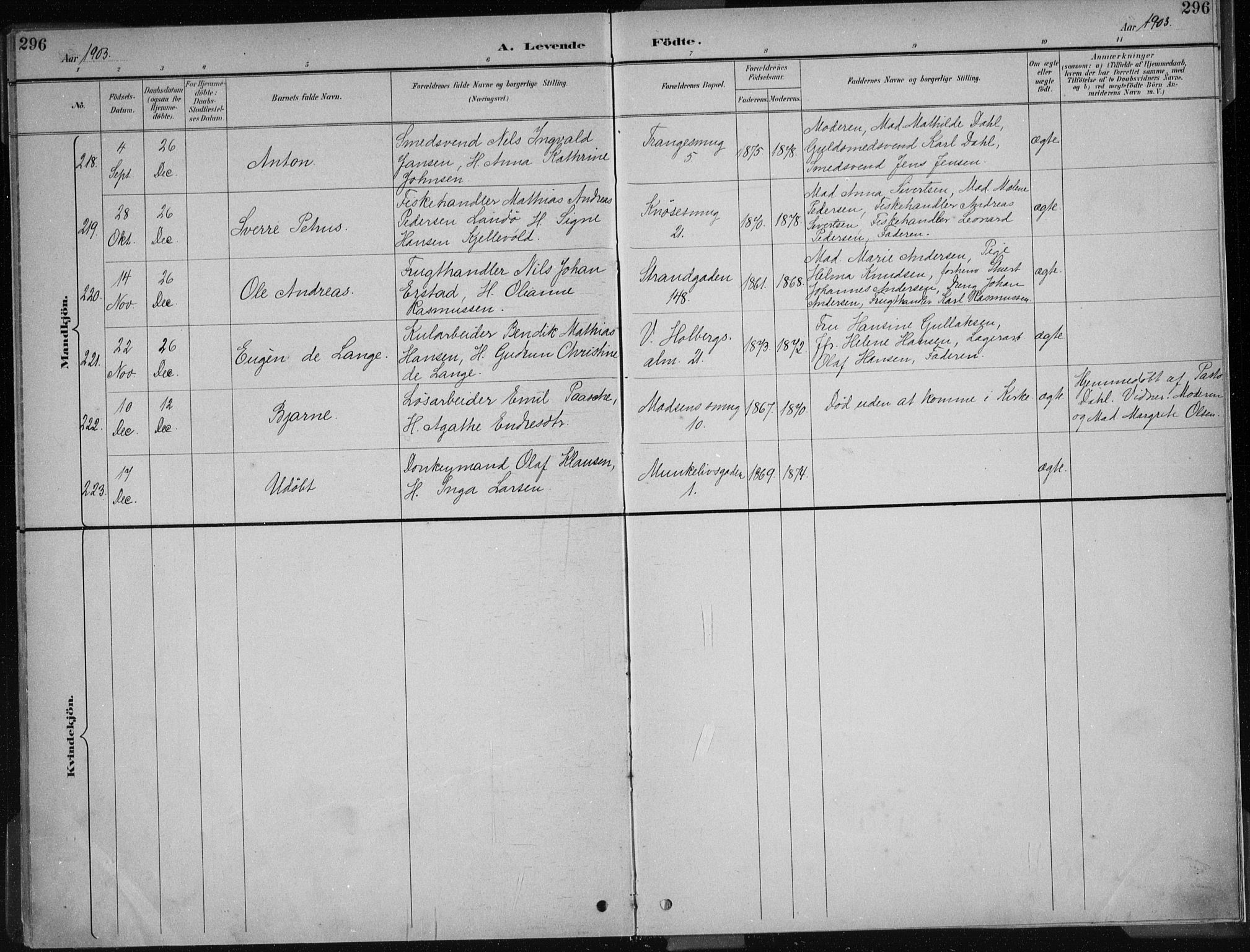 Nykirken Sokneprestembete, AV/SAB-A-77101/H/Haa/L0018: Parish register (official) no. B 6, 1895-1903, p. 296