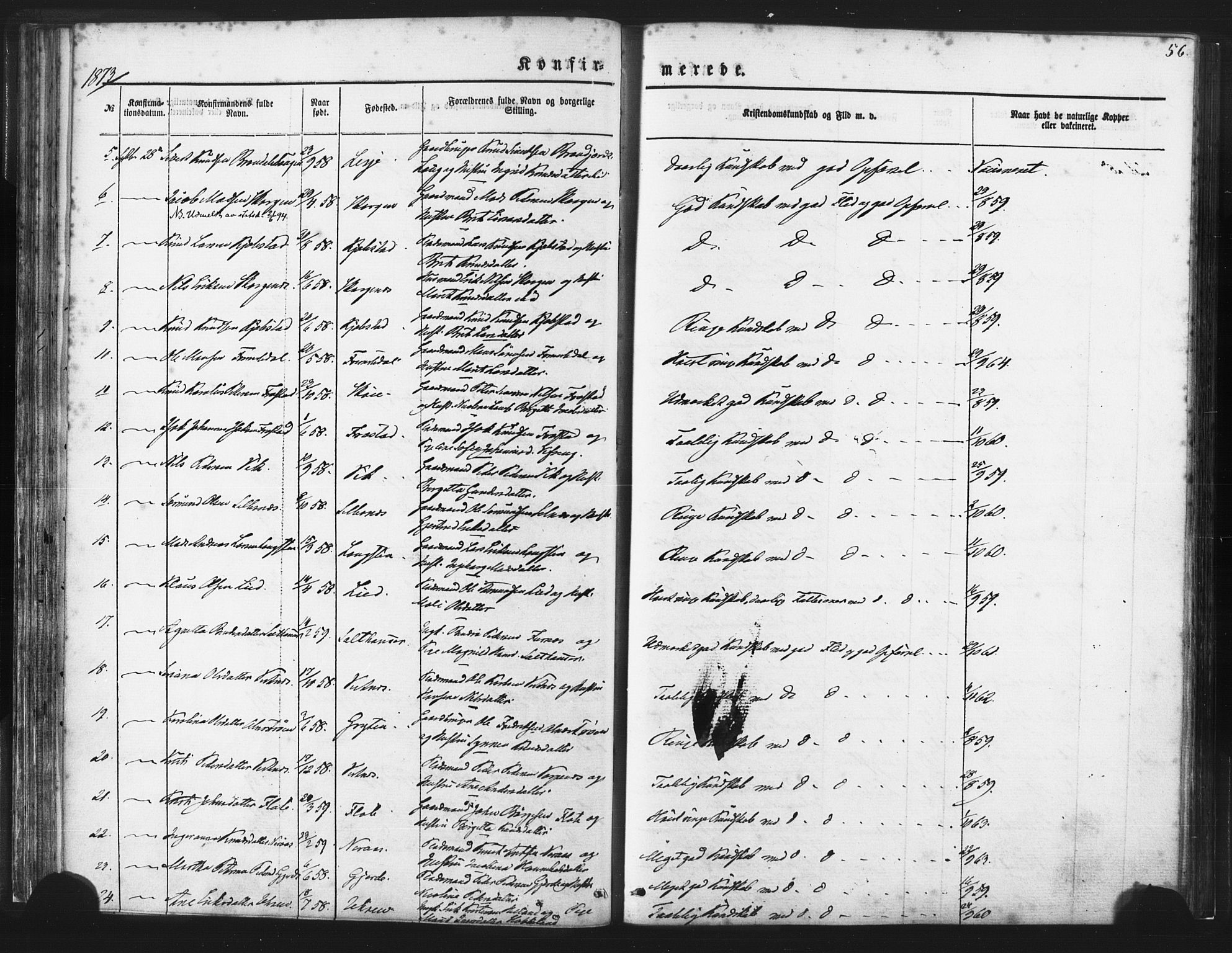 Ministerialprotokoller, klokkerbøker og fødselsregistre - Møre og Romsdal, AV/SAT-A-1454/539/L0530: Parish register (official) no. 539A03, 1872-1886, p. 56