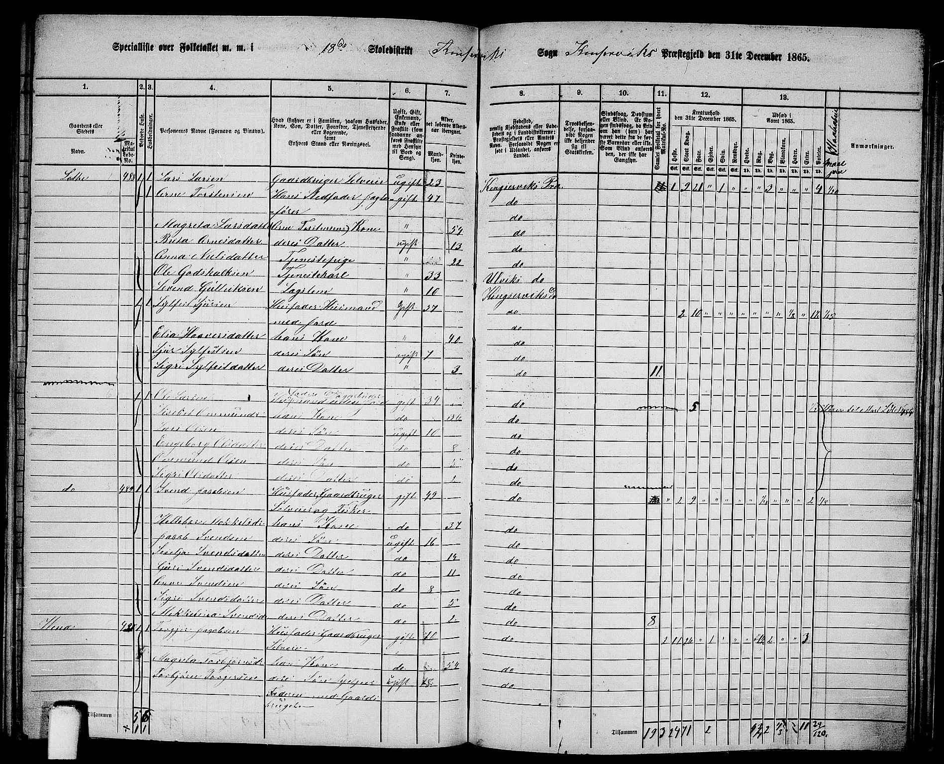 RA, 1865 census for Kinsarvik, 1865, p. 207