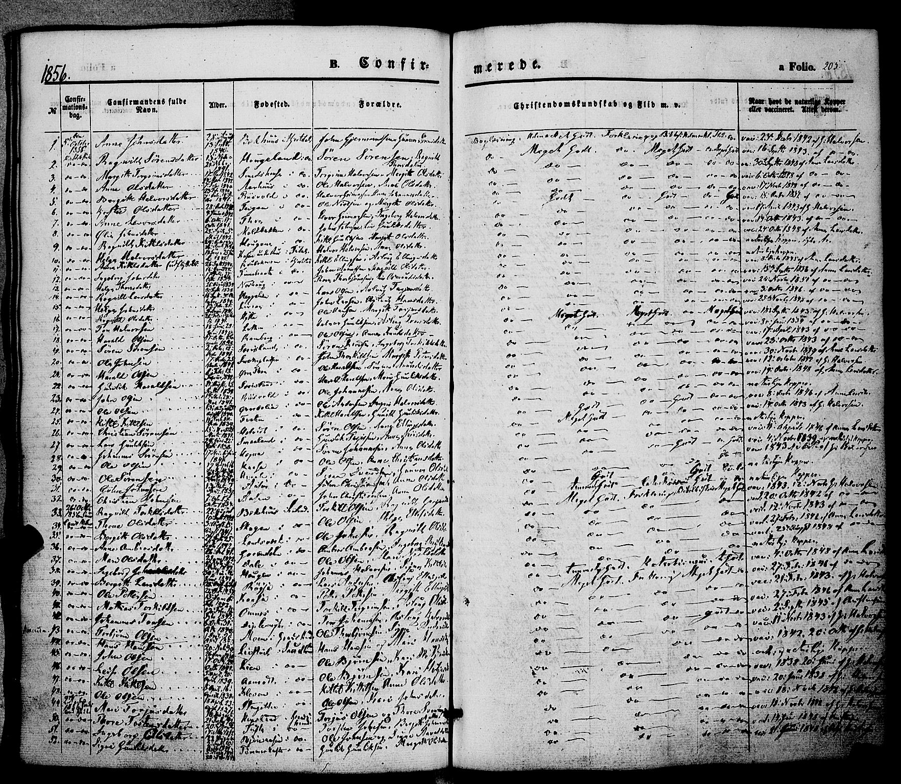 Hjartdal kirkebøker, SAKO/A-270/F/Fa/L0008: Parish register (official) no. I 8, 1844-1859, p. 205