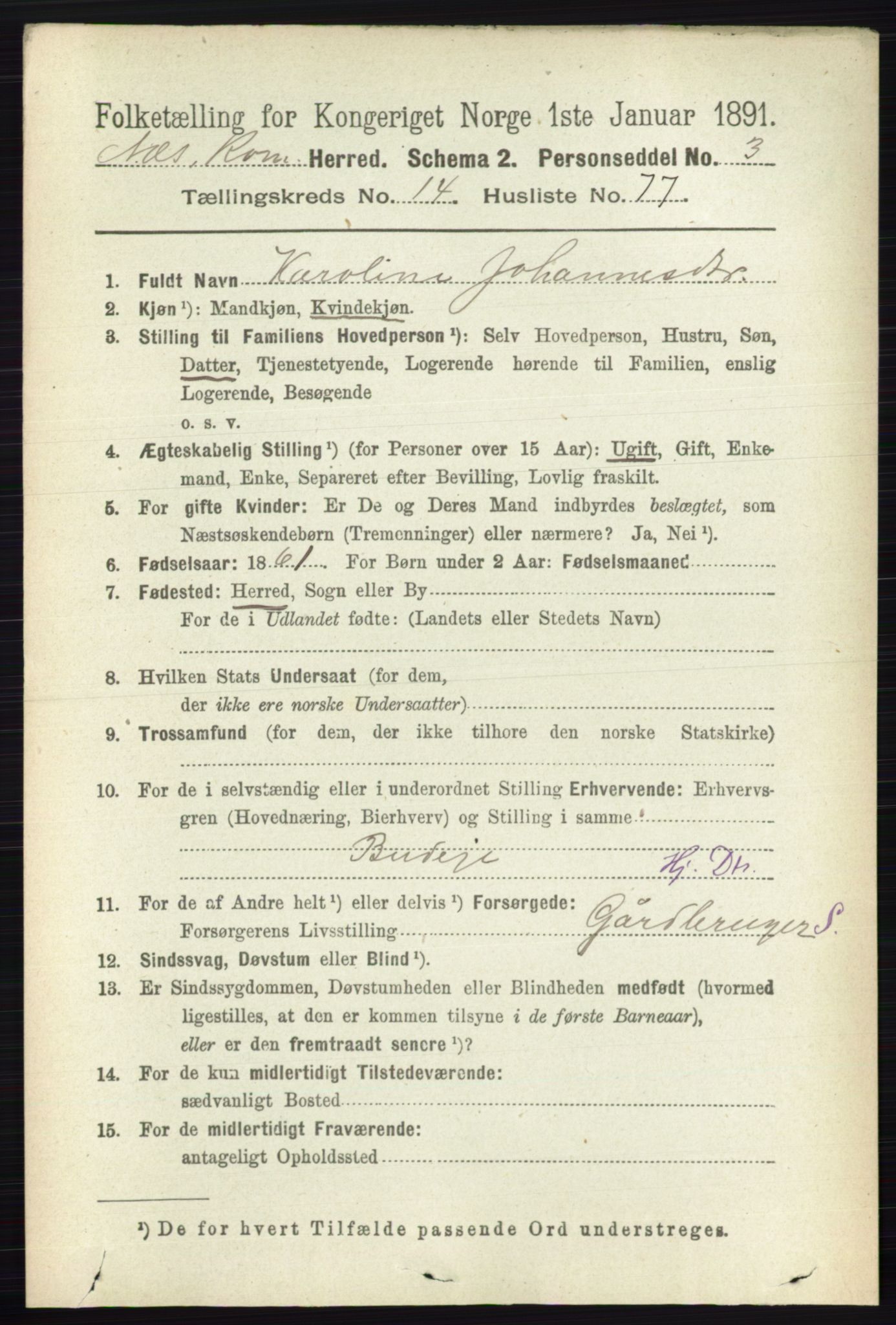 RA, 1891 census for 0236 Nes, 1891, p. 8910