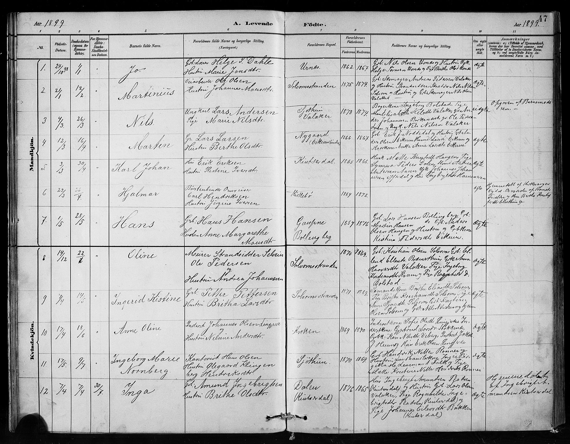 Hafslo sokneprestembete, AV/SAB-A-80301/H/Hab/Habc/L0001: Parish register (copy) no. C 1, 1882-1908, p. 47