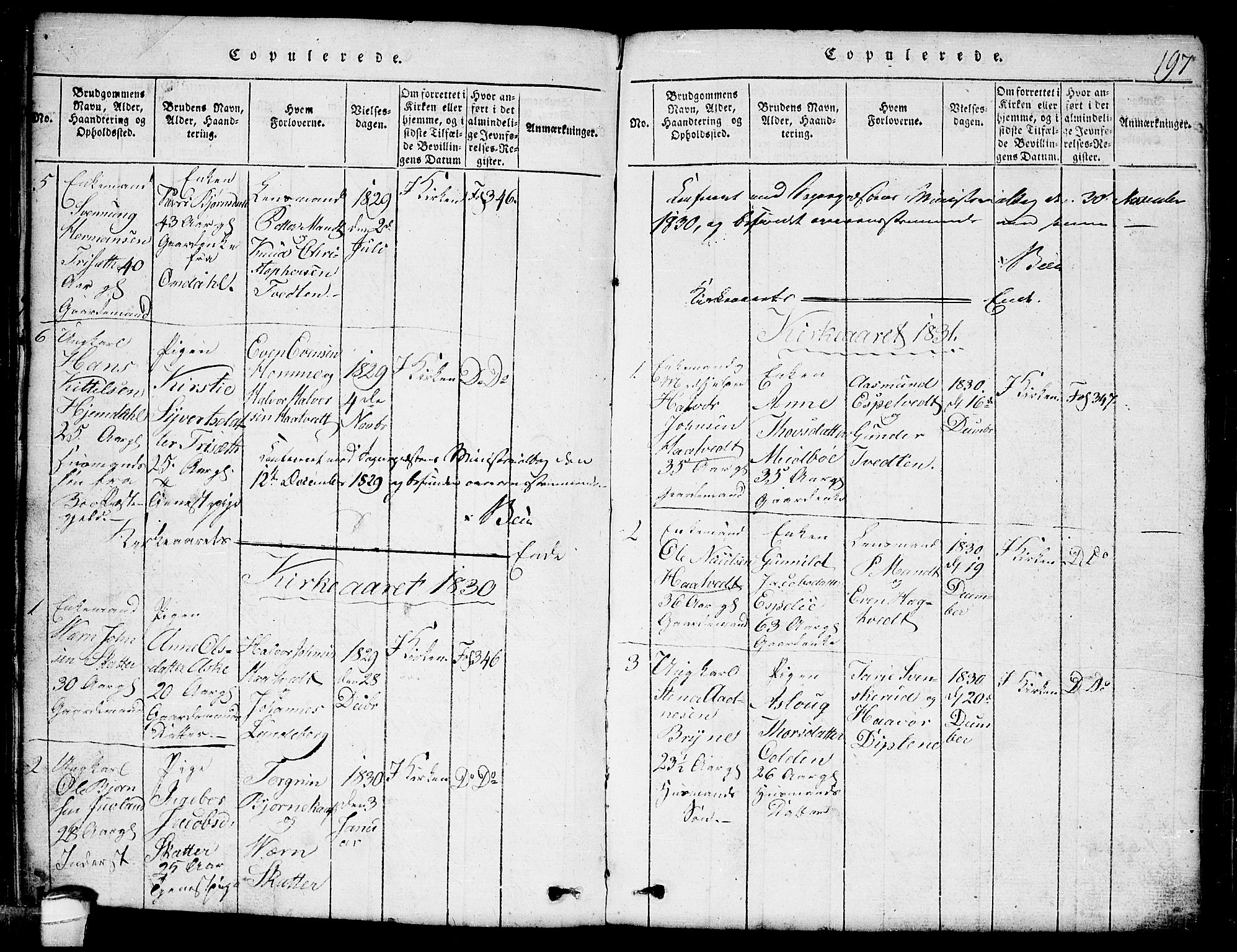 Lårdal kirkebøker, SAKO/A-284/G/Ga/L0001: Parish register (copy) no. I 1, 1815-1861, p. 197